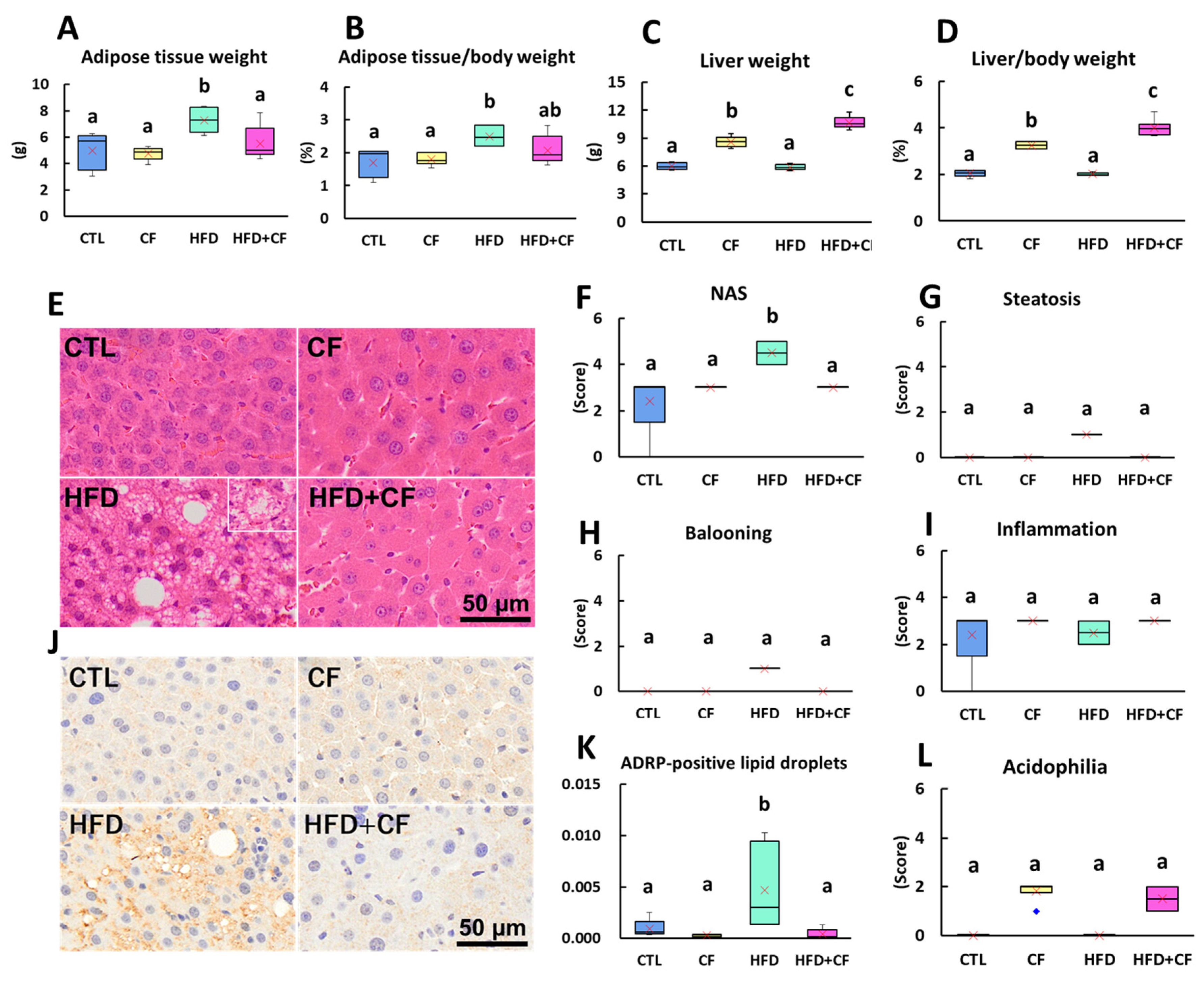 Biology 13 01027 g001 Biology 13 01027 g001