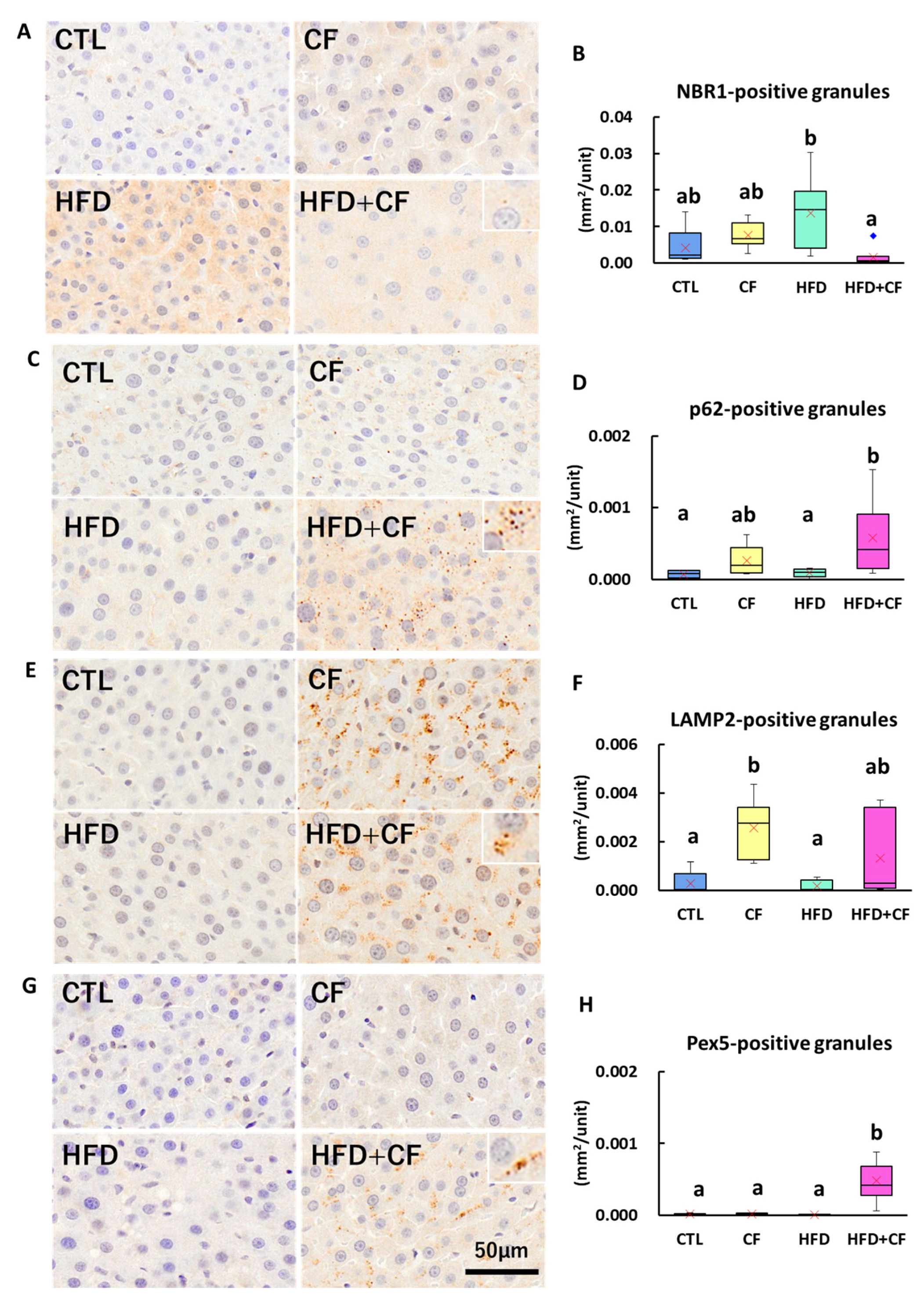 Biology 13 01027 g002 Biology 13 01027 g002