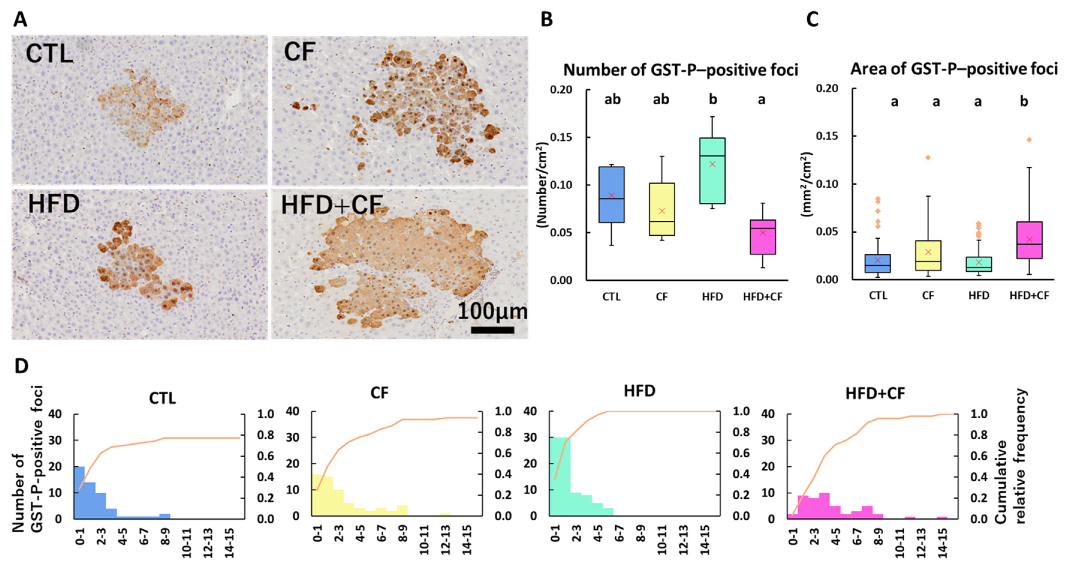 Biology 13 01027 g004 Biology 13 01027 g004
