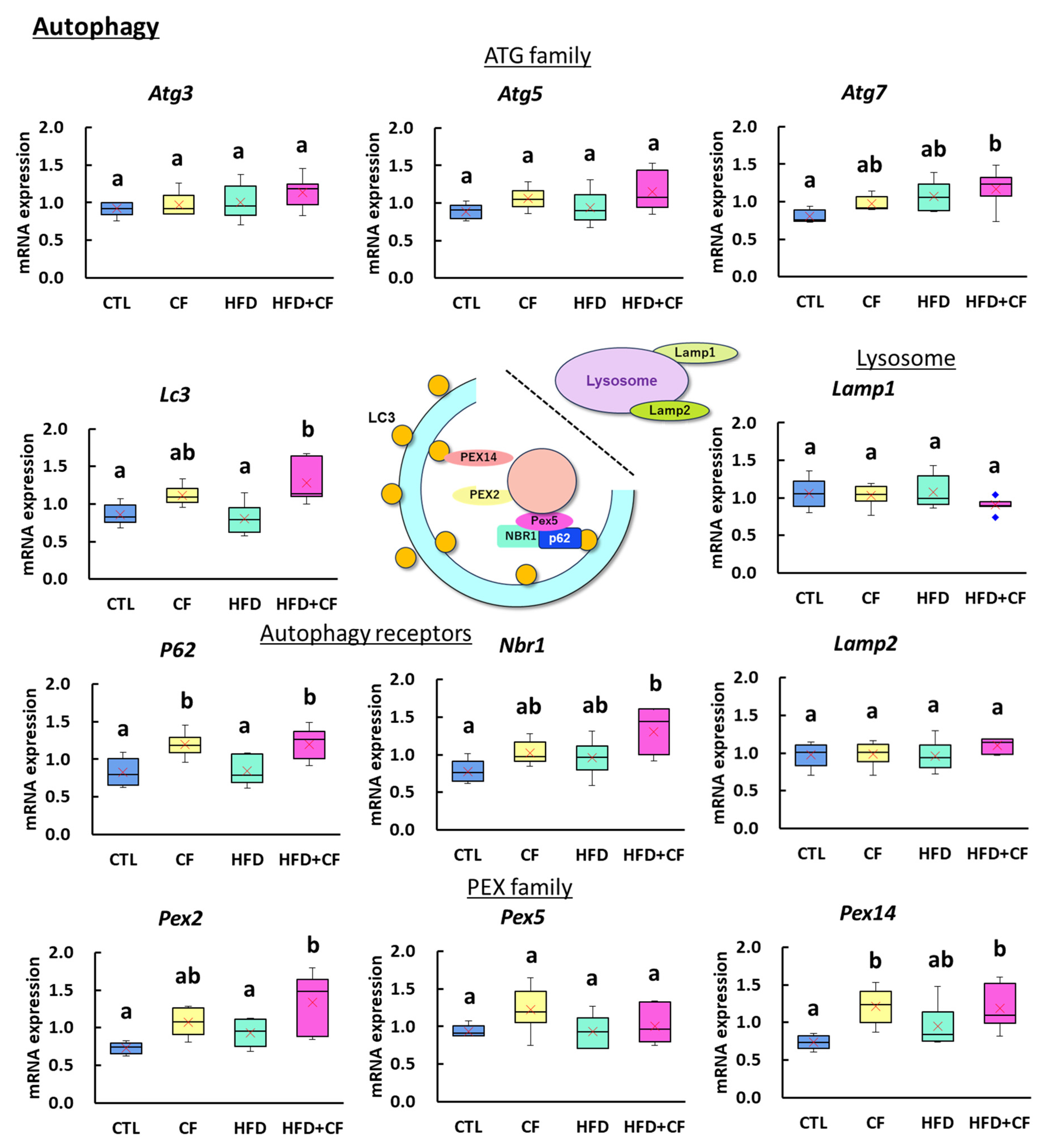Biology 13 01027 g005 Biology 13 01027 g005