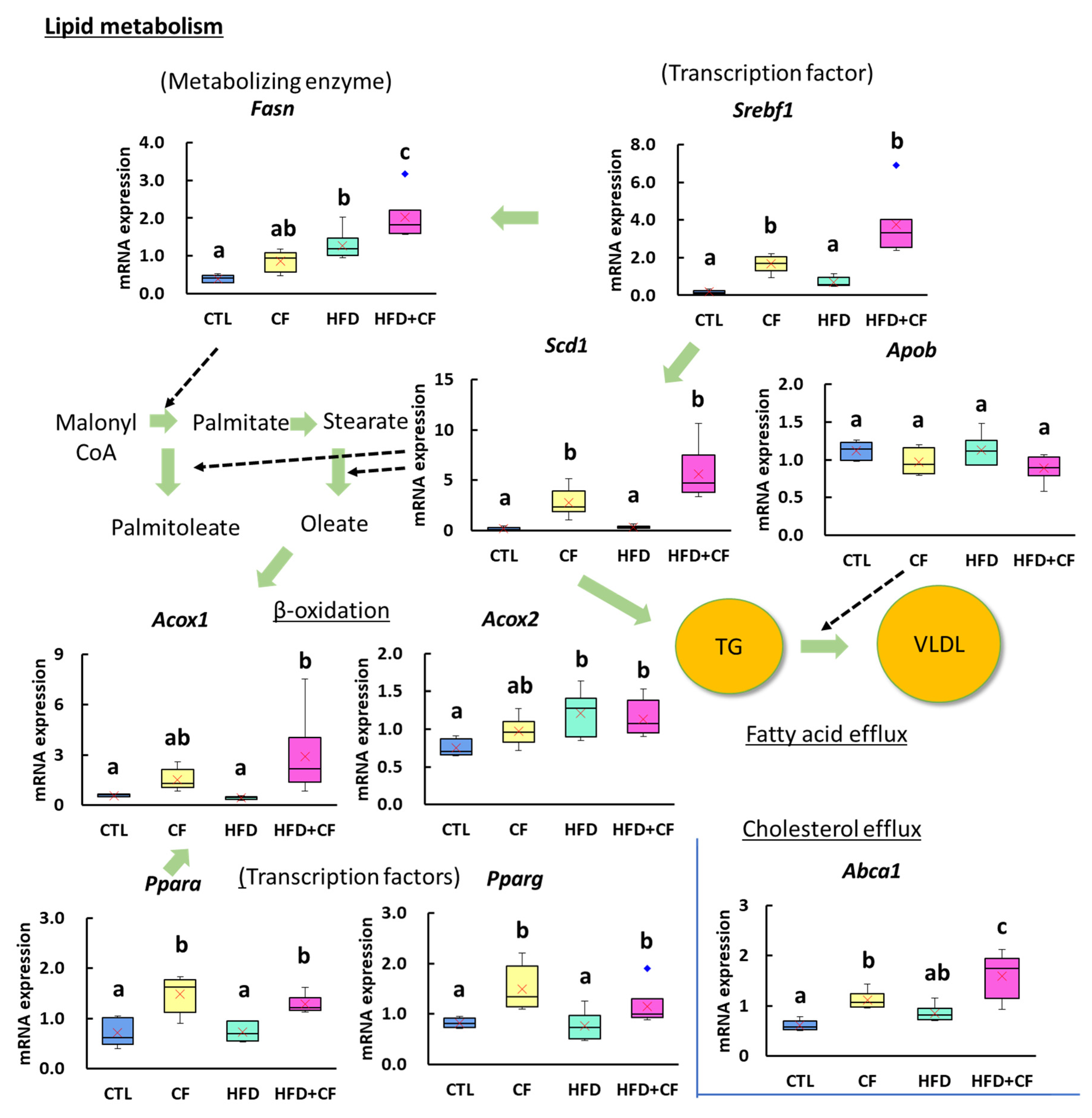 Biology 13 01027 g006 Biology 13 01027 g006