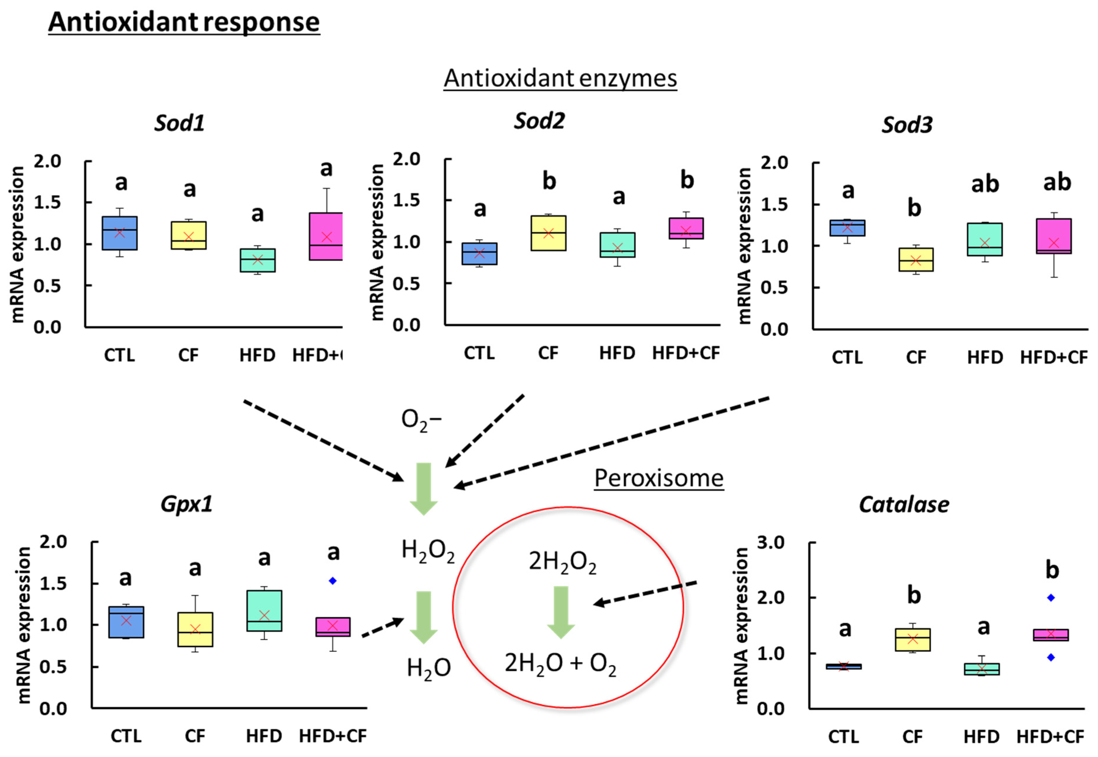 Biology 13 01027 g007 Biology 13 01027 g007