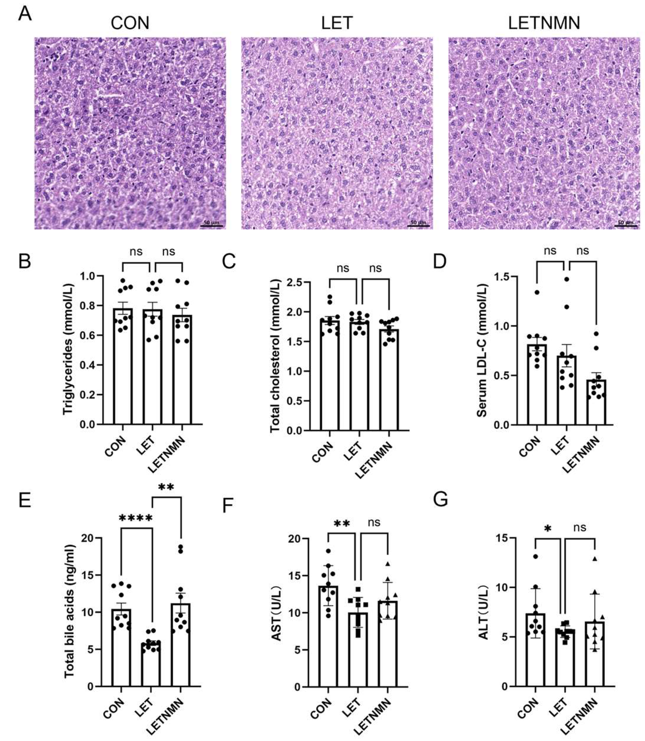 Biology 13 01028 g003