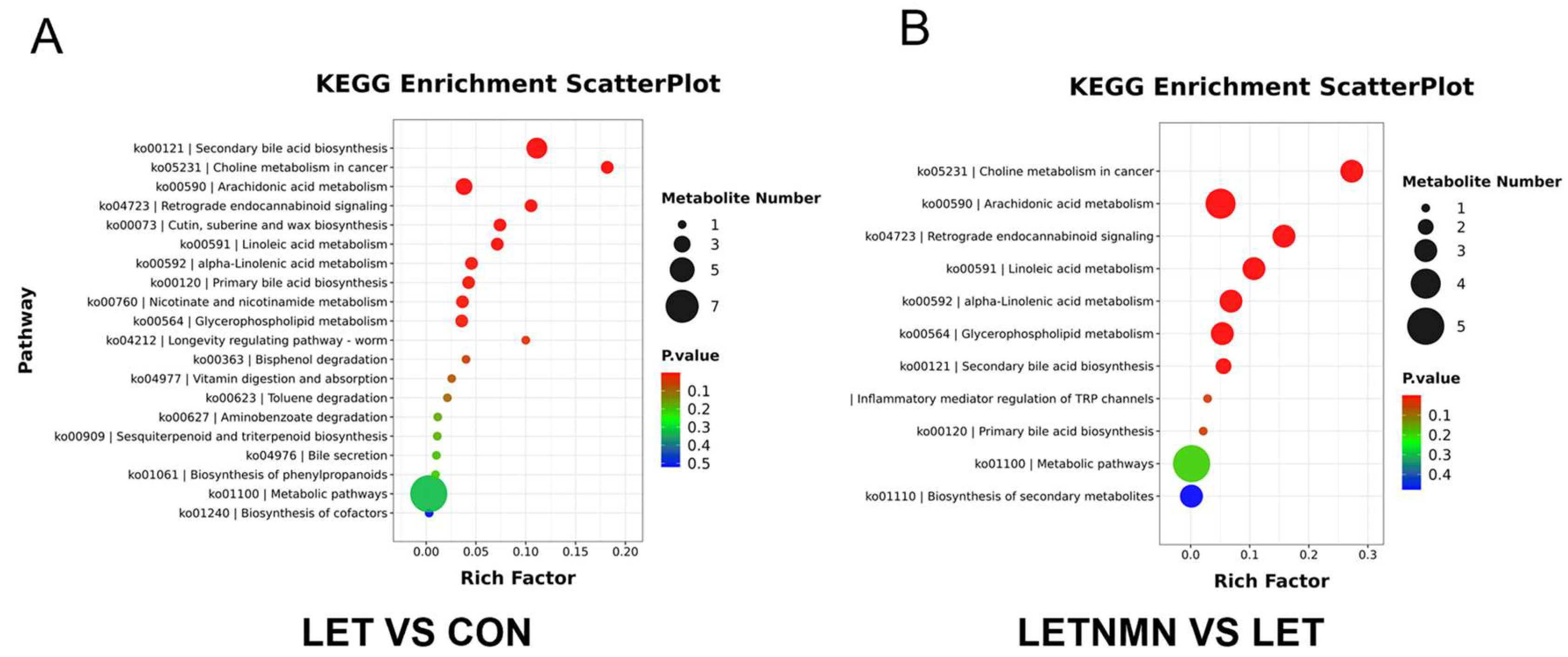 Biology 13 01028 g006