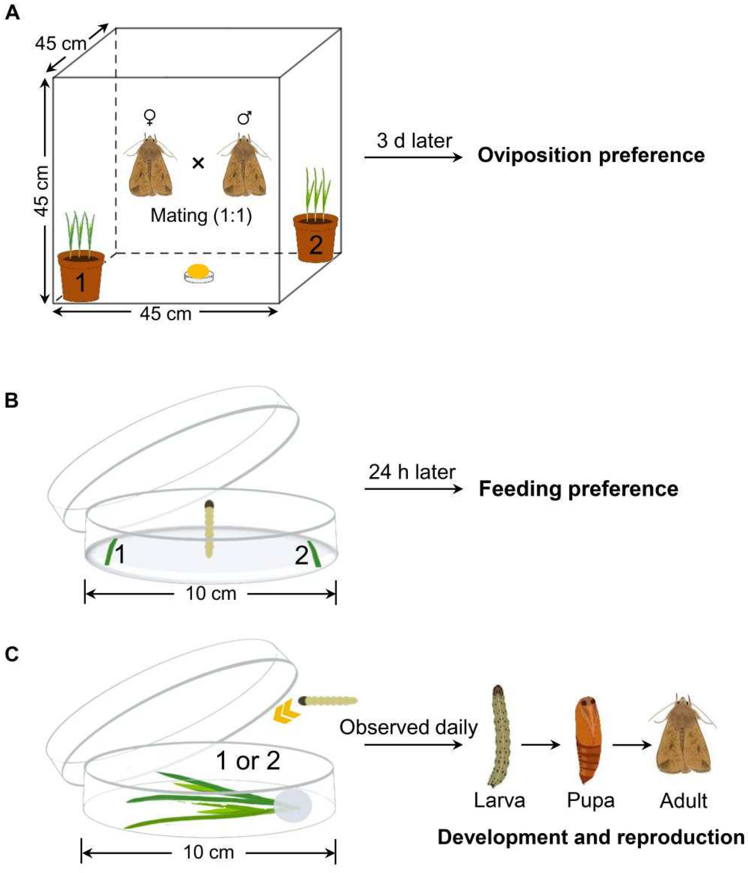 Biology 13 01037 g001