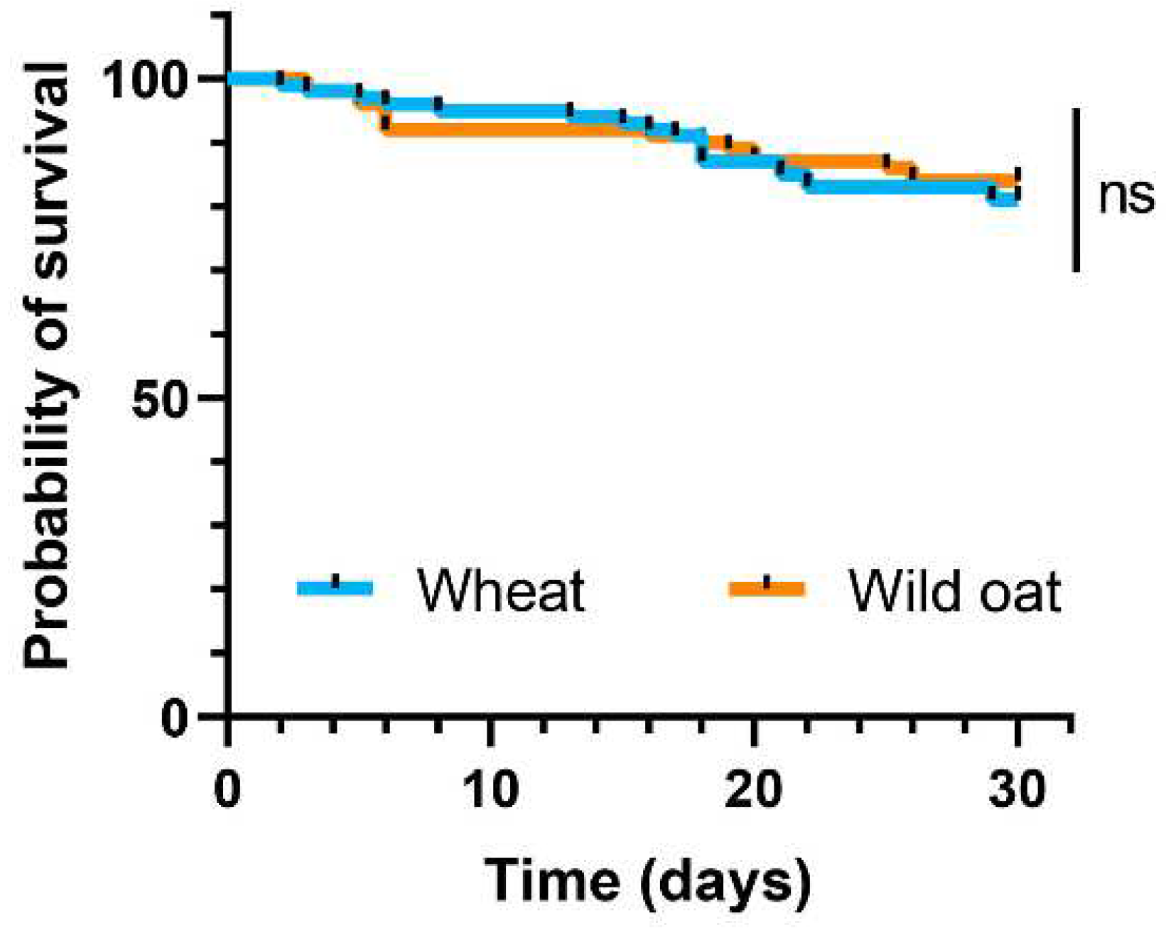 Biology 13 01037 g004