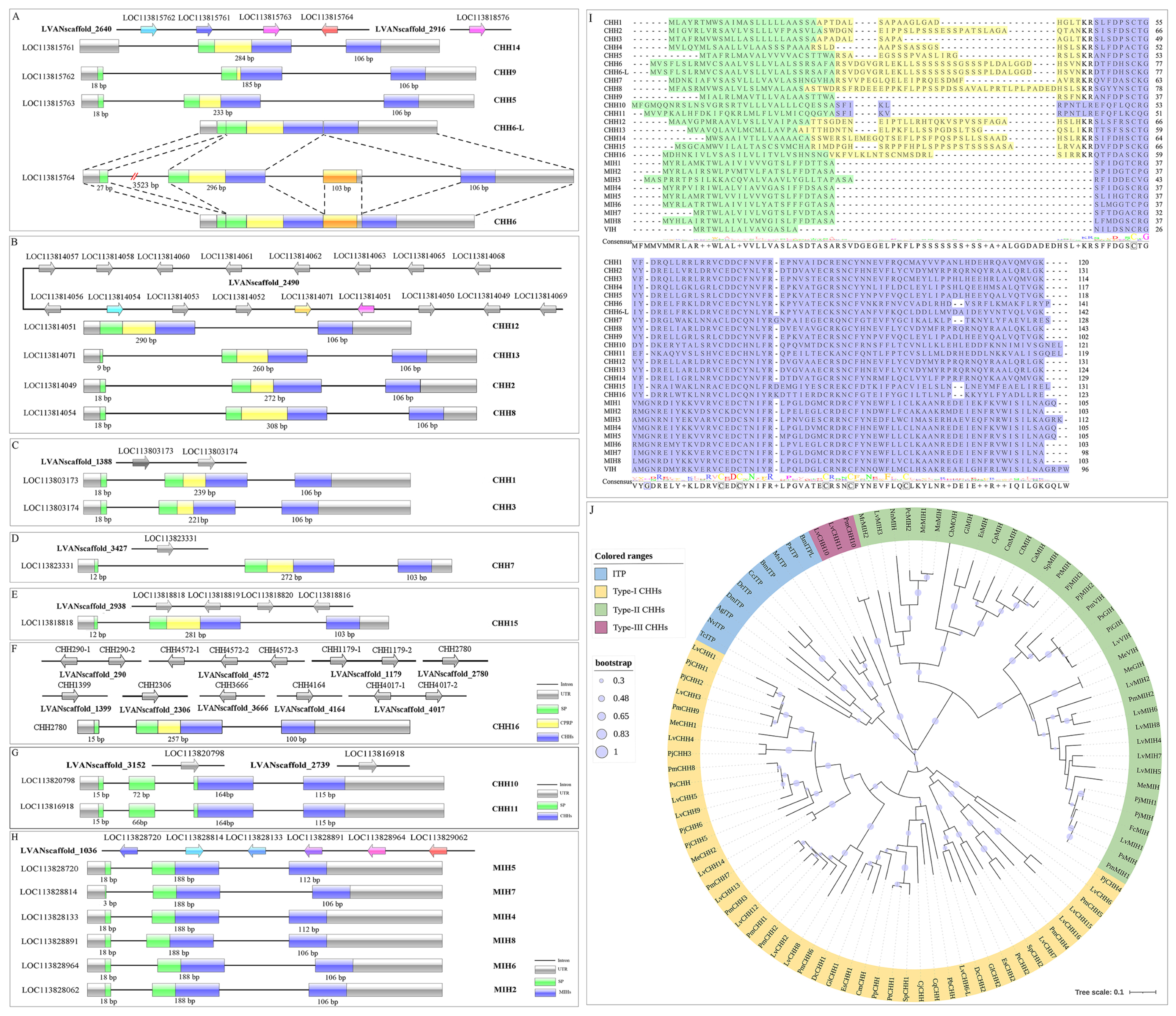 Biology 13 01038 g002