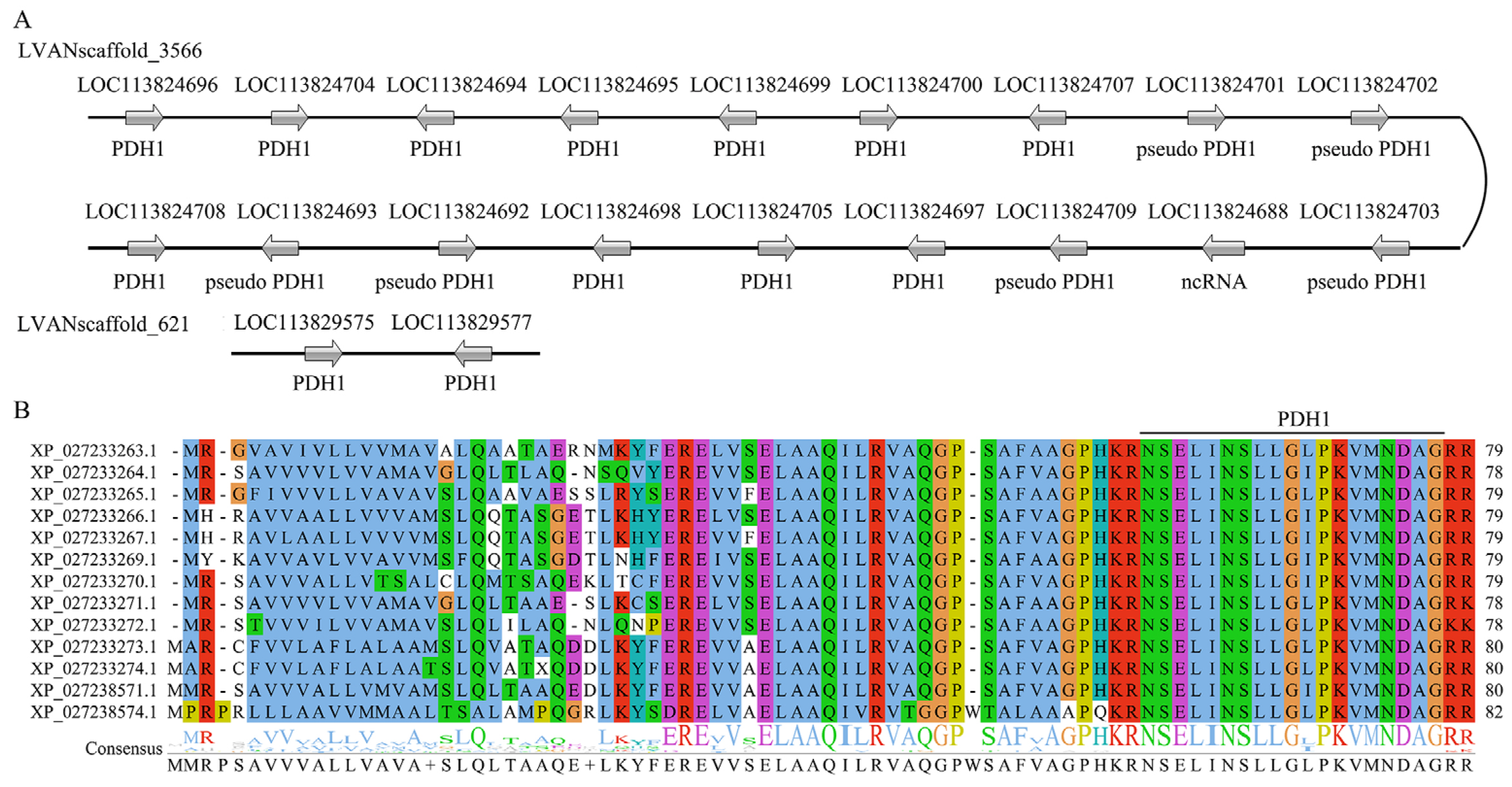 Biology 13 01038 g003
