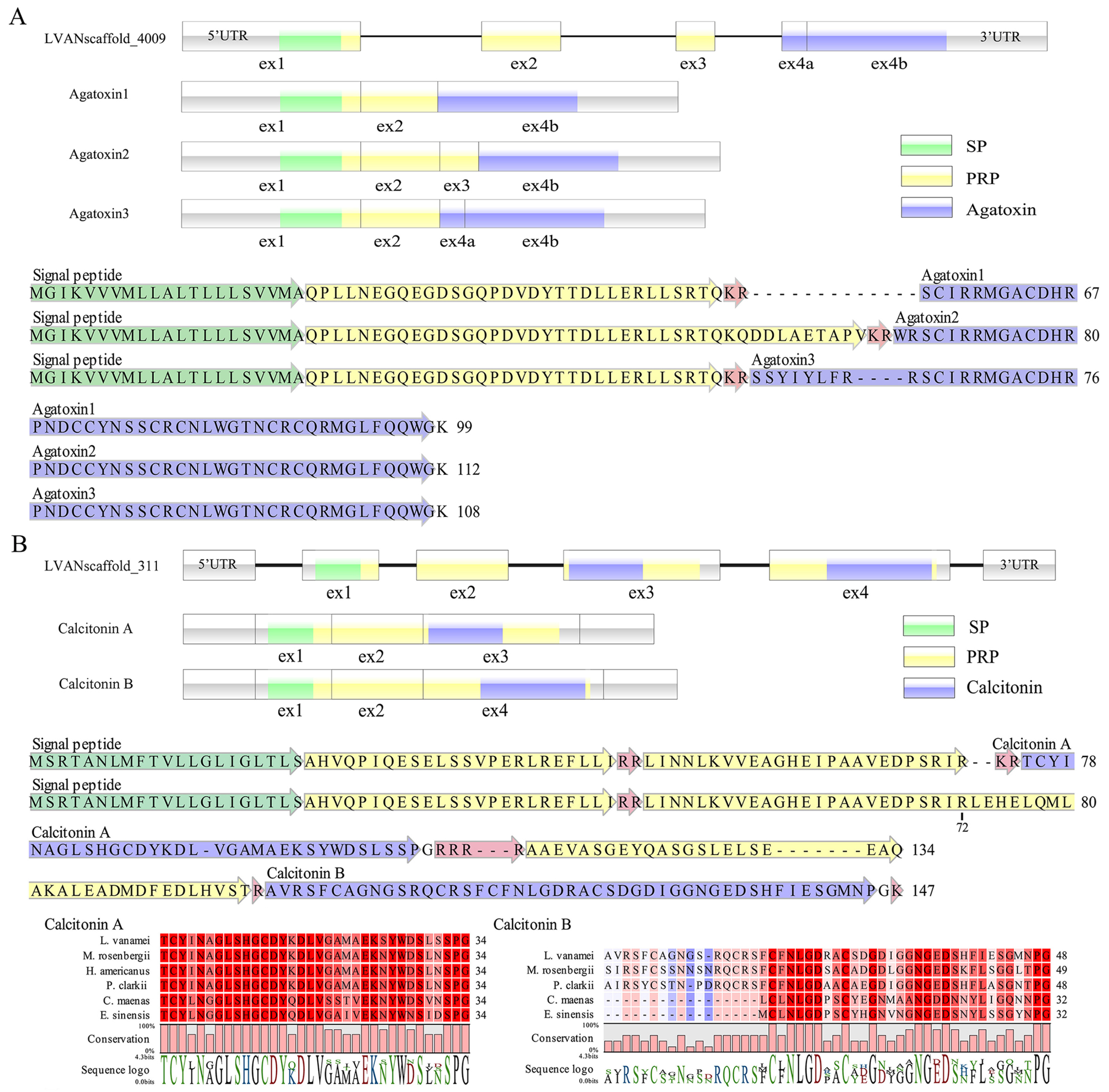 Biology 13 01038 g004