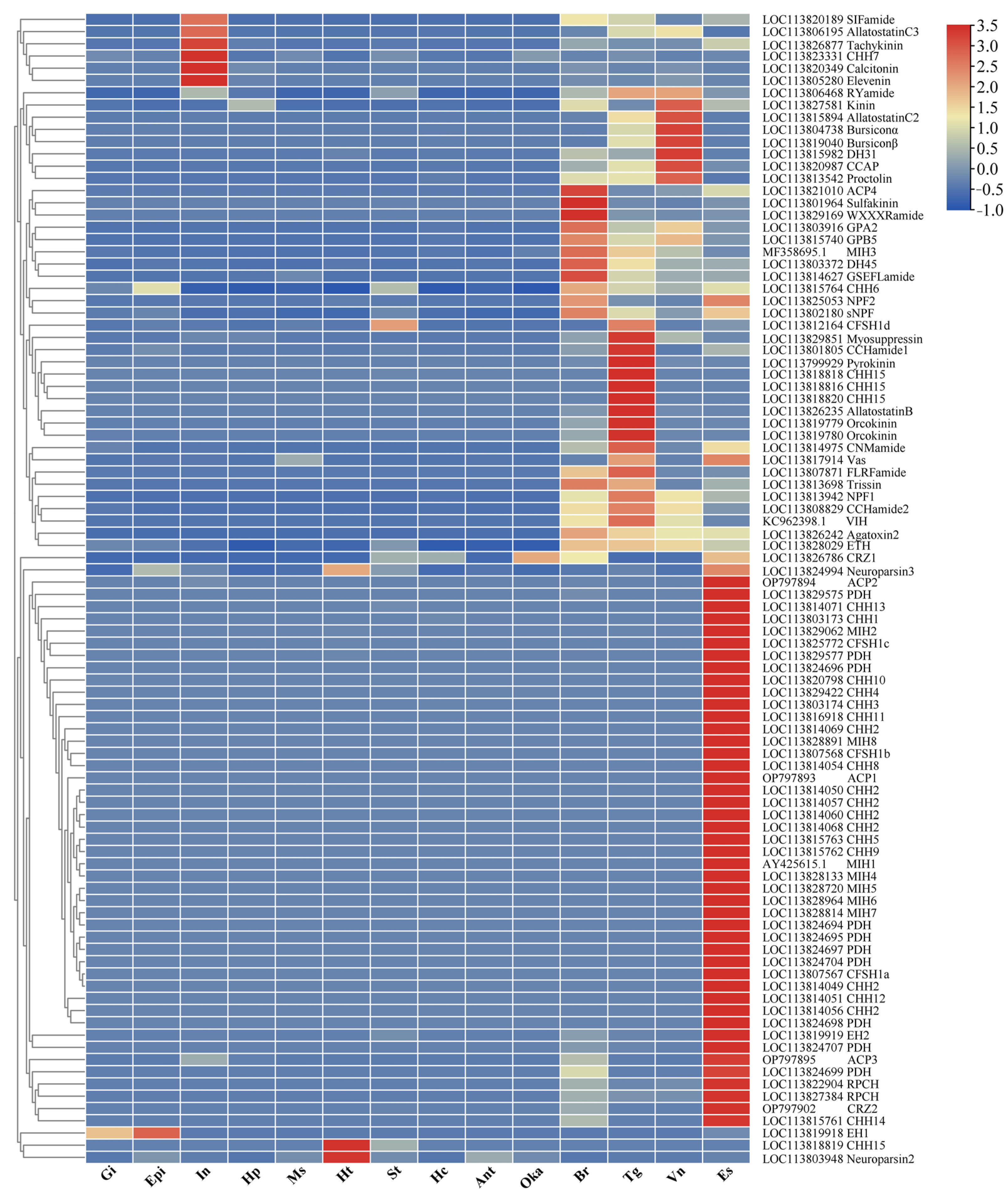 Biology 13 01038 g005