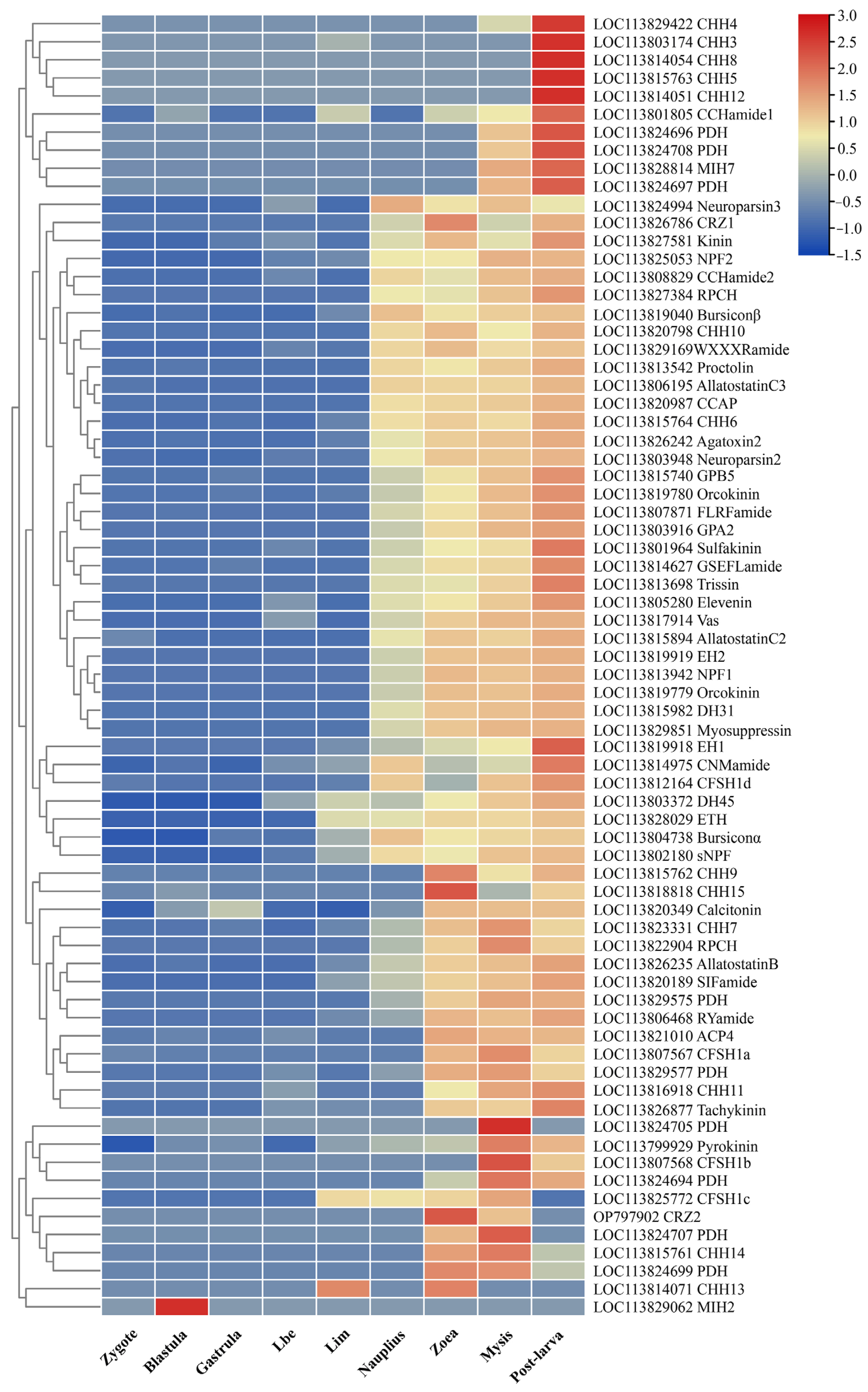 Biology 13 01038 g006