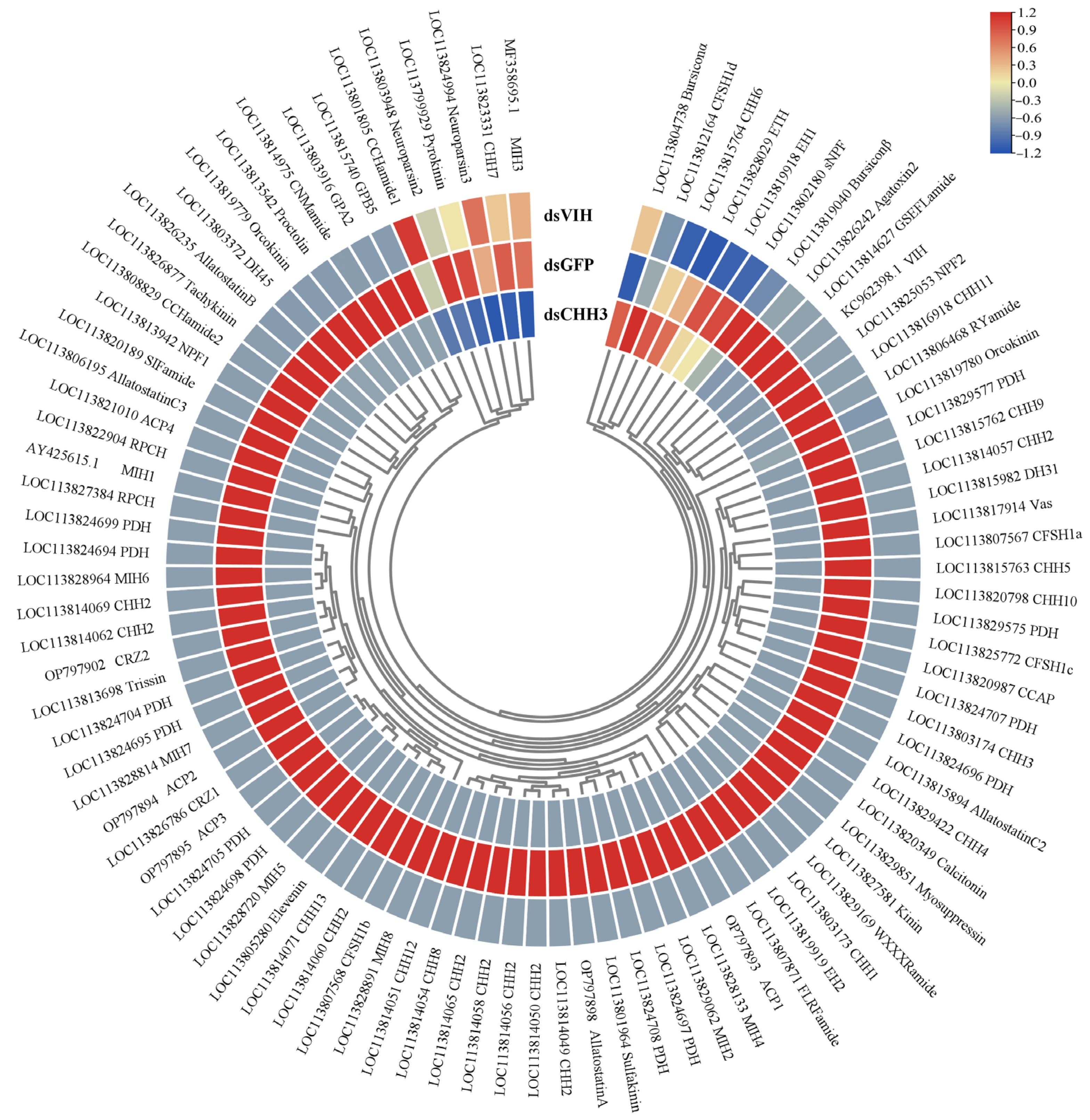 Biology 13 01038 g008