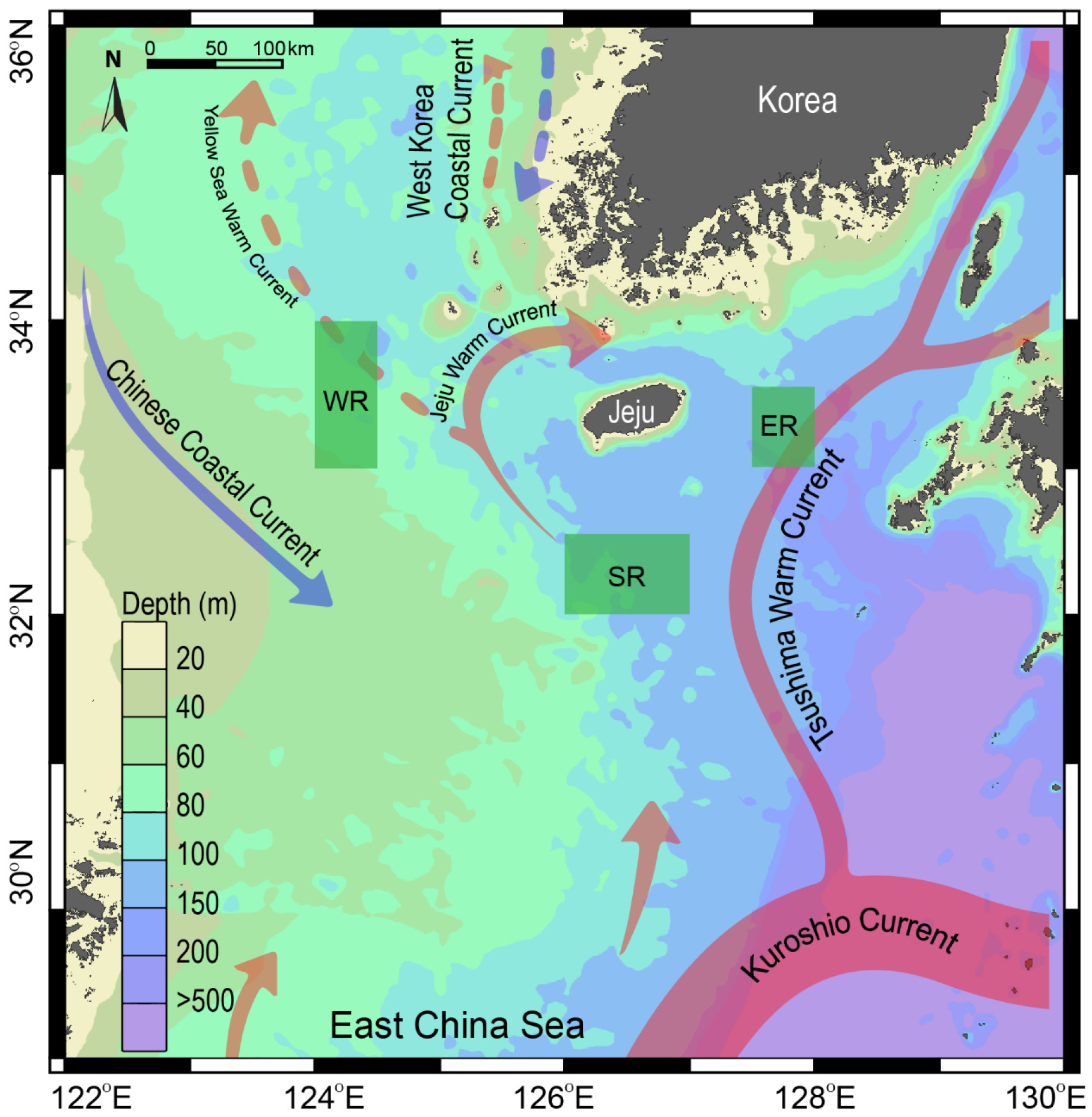 Biology 13 01041 g001