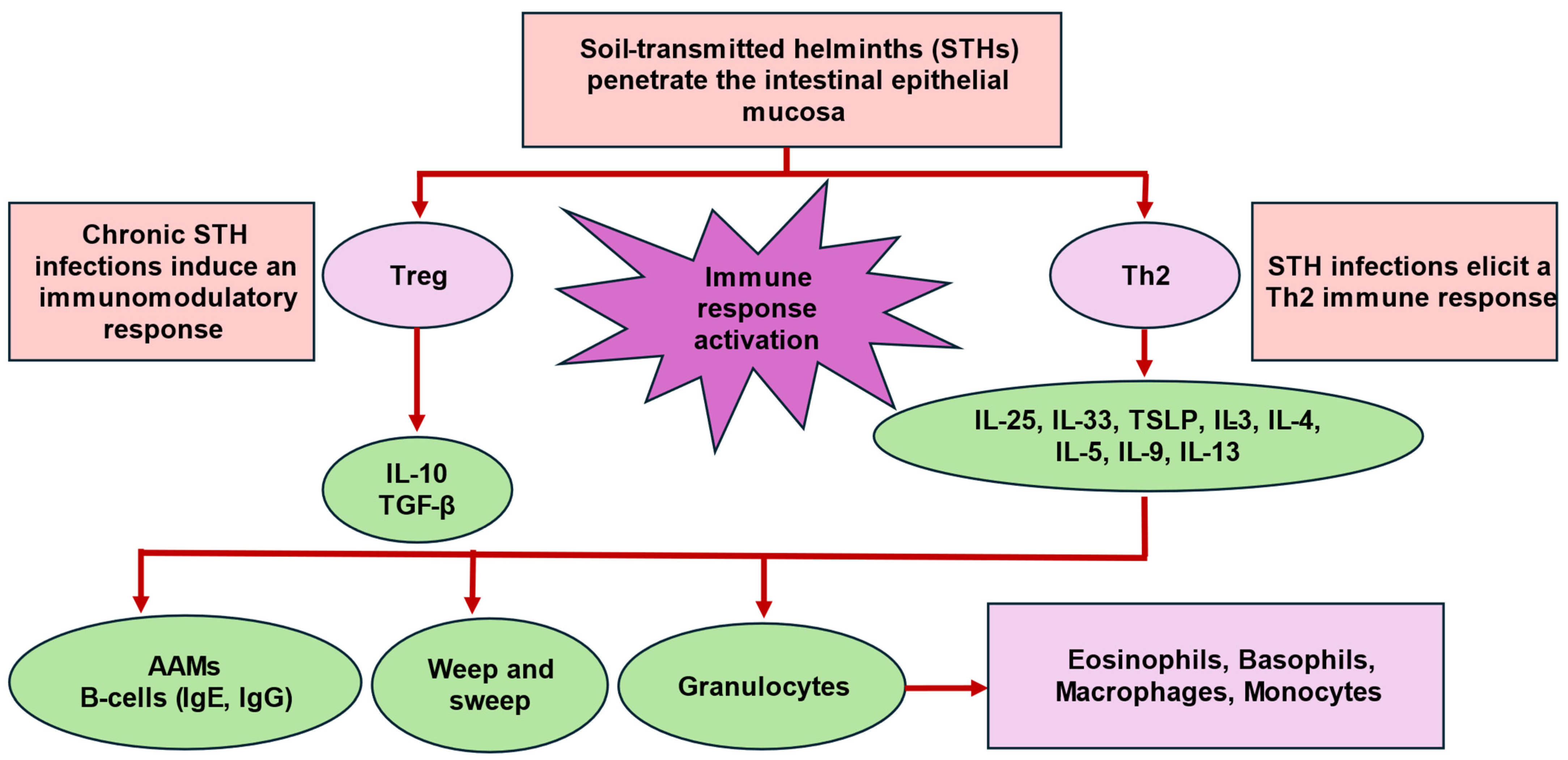 Biology 13 01050 g001