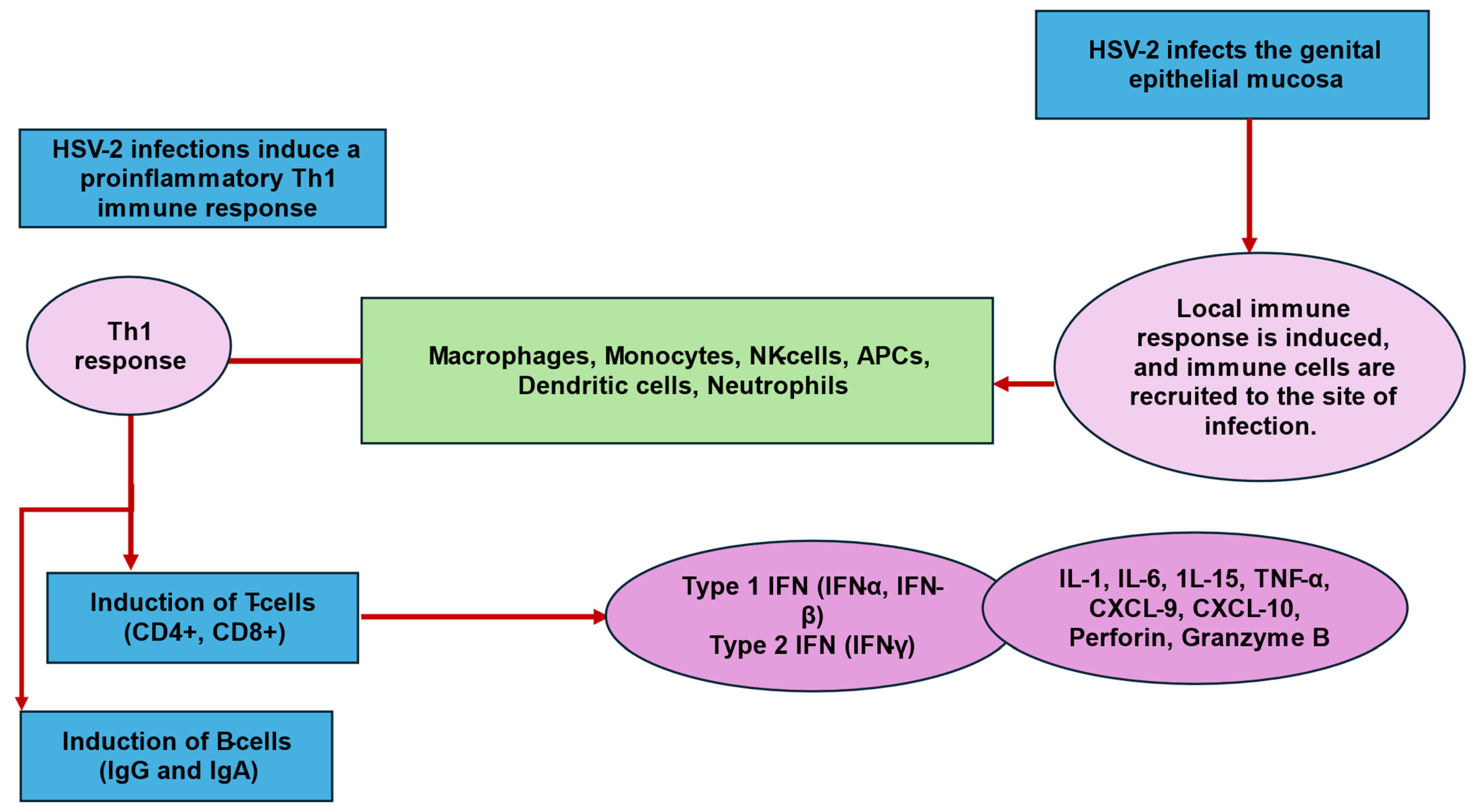 Biology 13 01050 g002