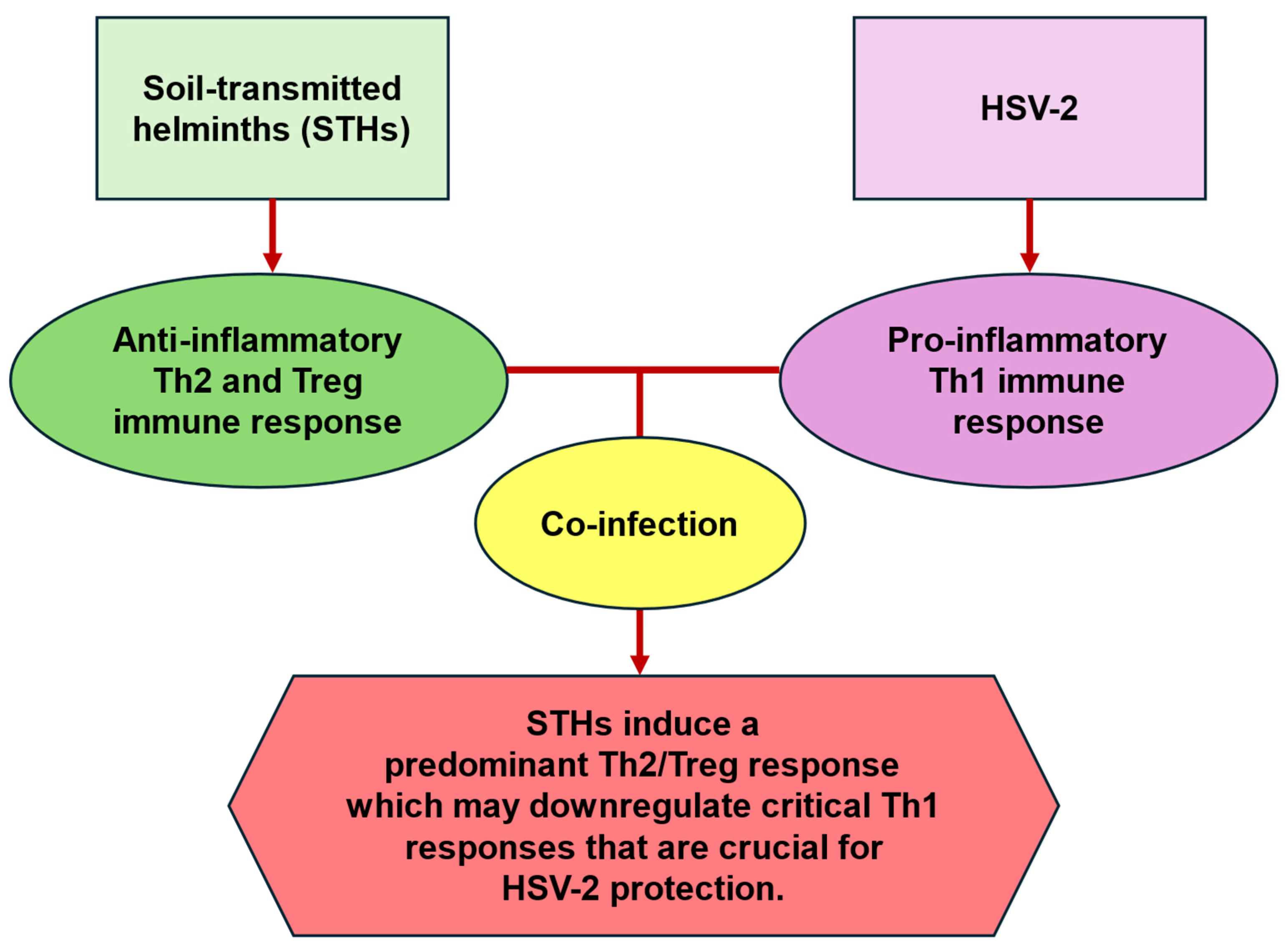 Biology 13 01050 g003