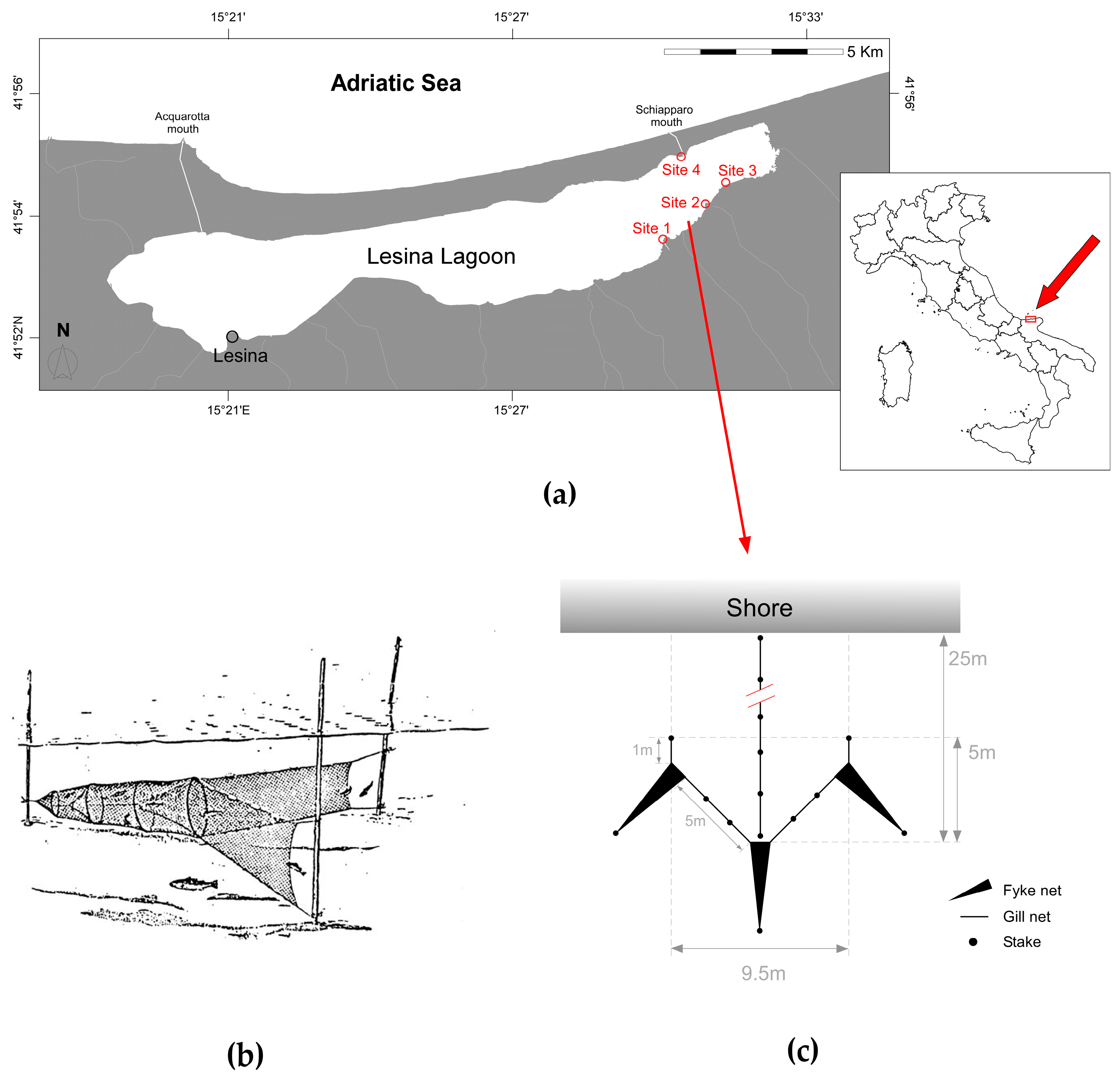 Biology 13 01051 g001