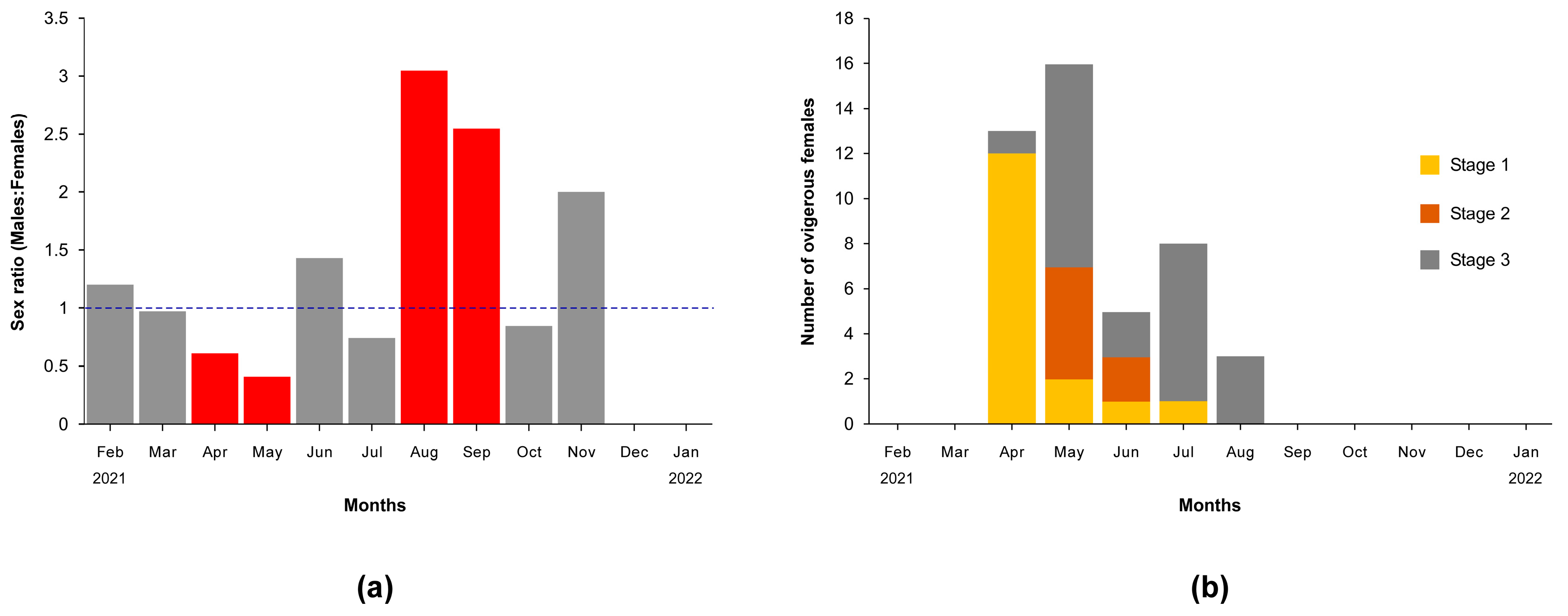Biology 13 01051 g004
