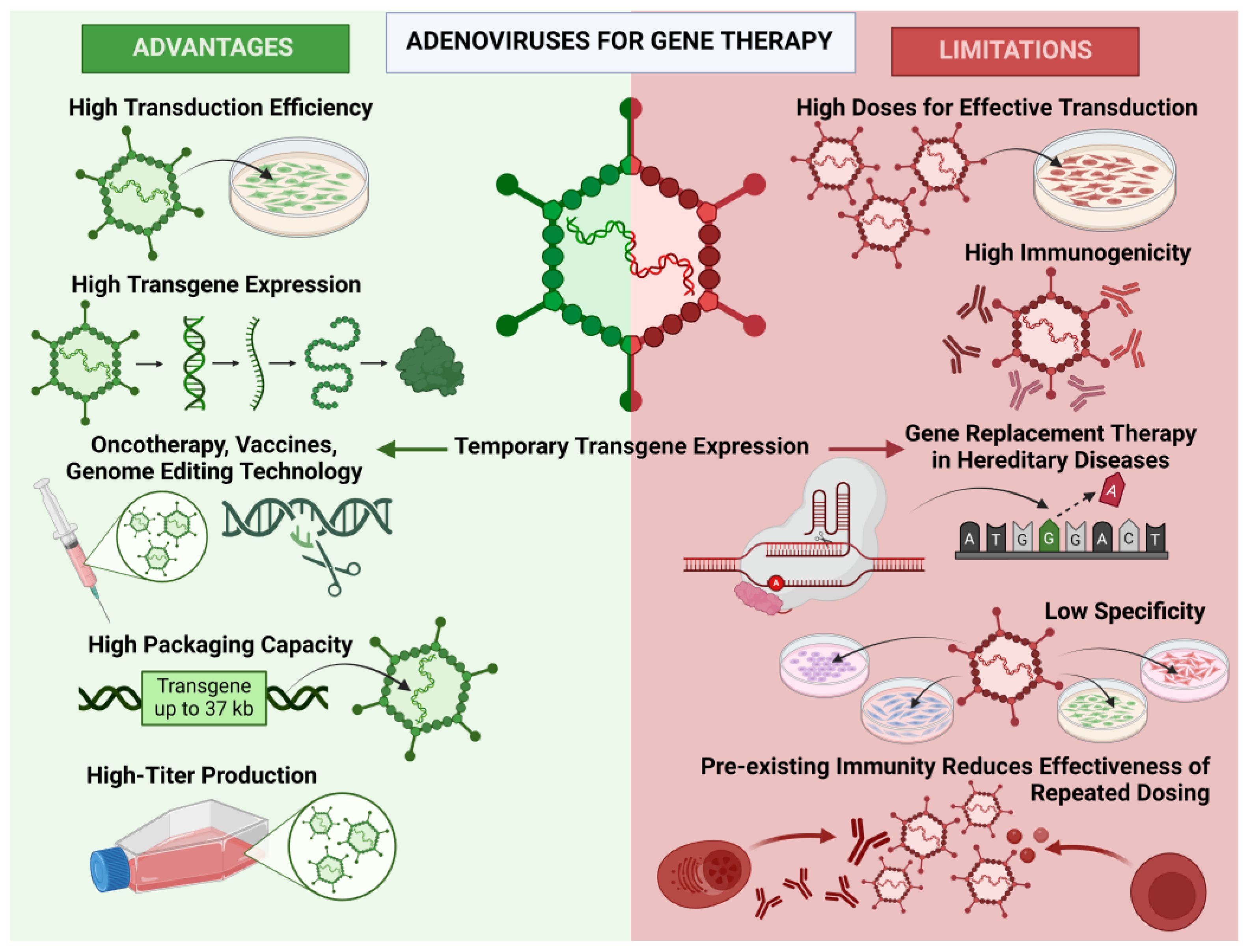 Biology 13 01052 g003