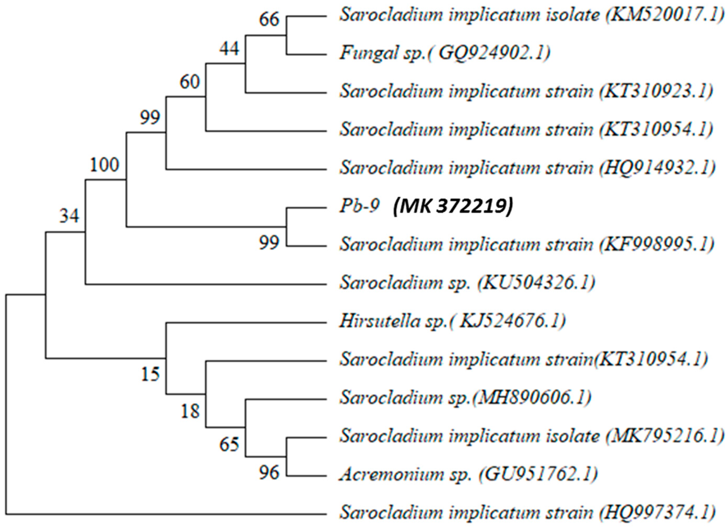 Biology 13 01053 g002