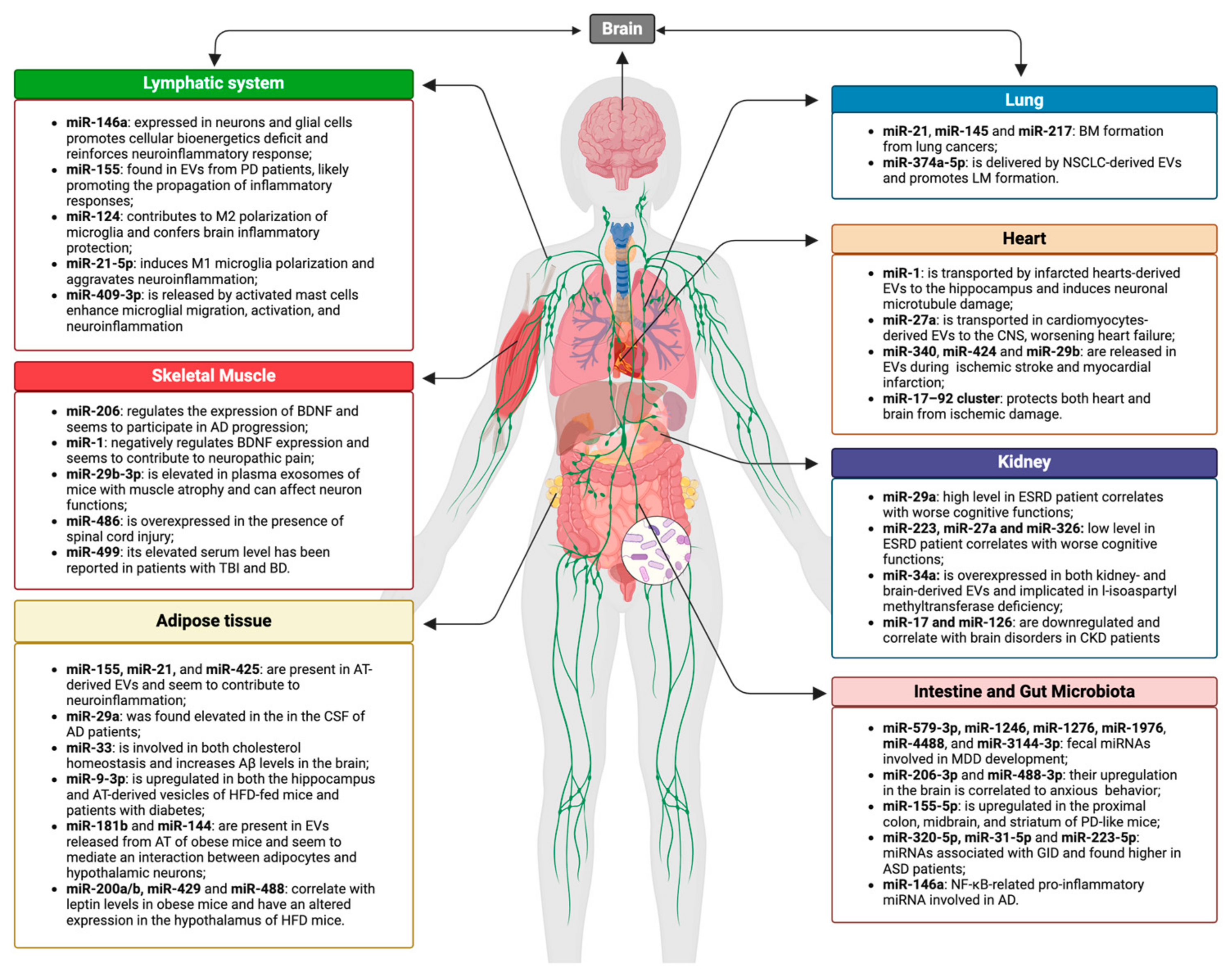 Biology 13 01056 g001