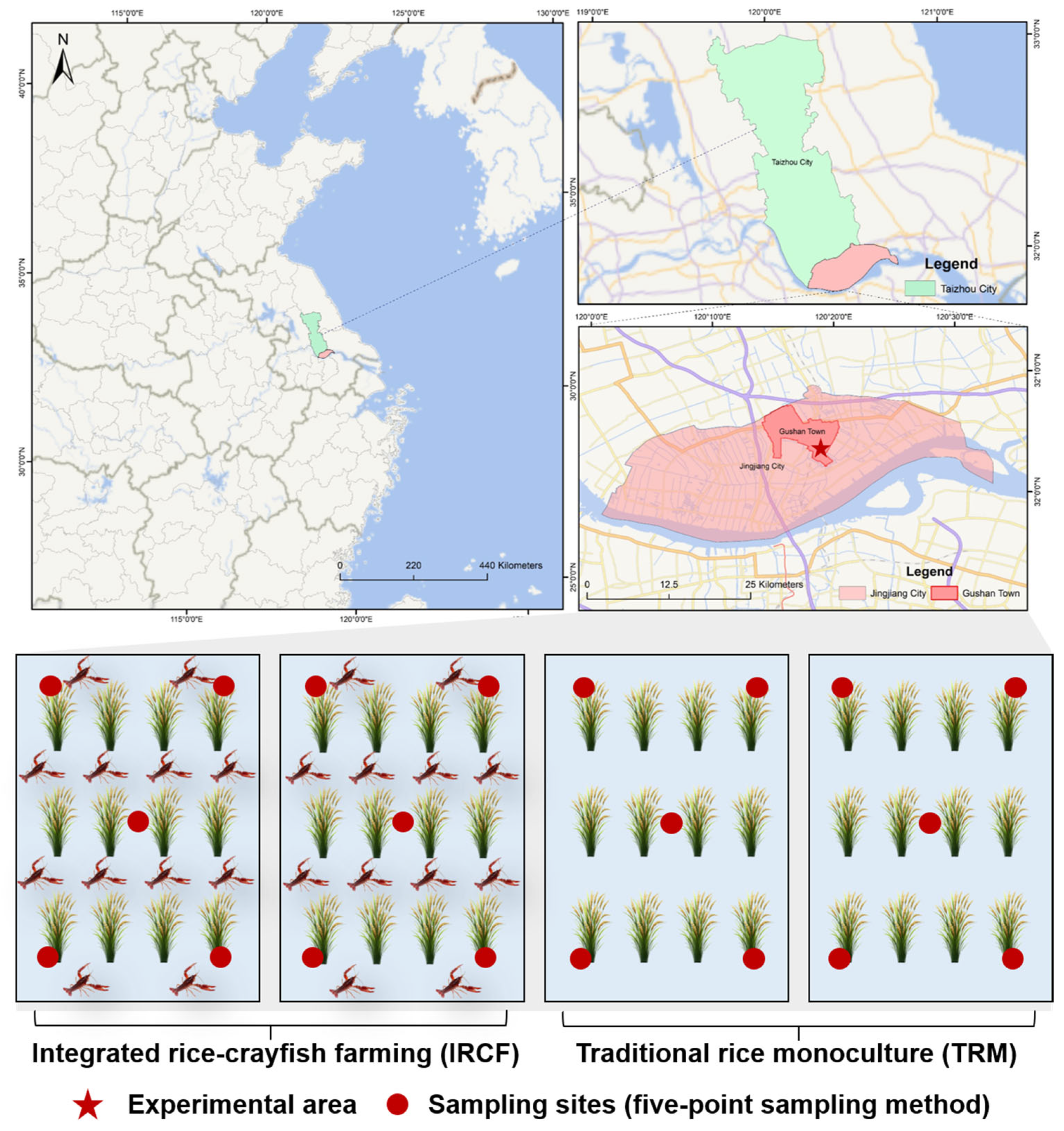 Biology 13 01059 g001