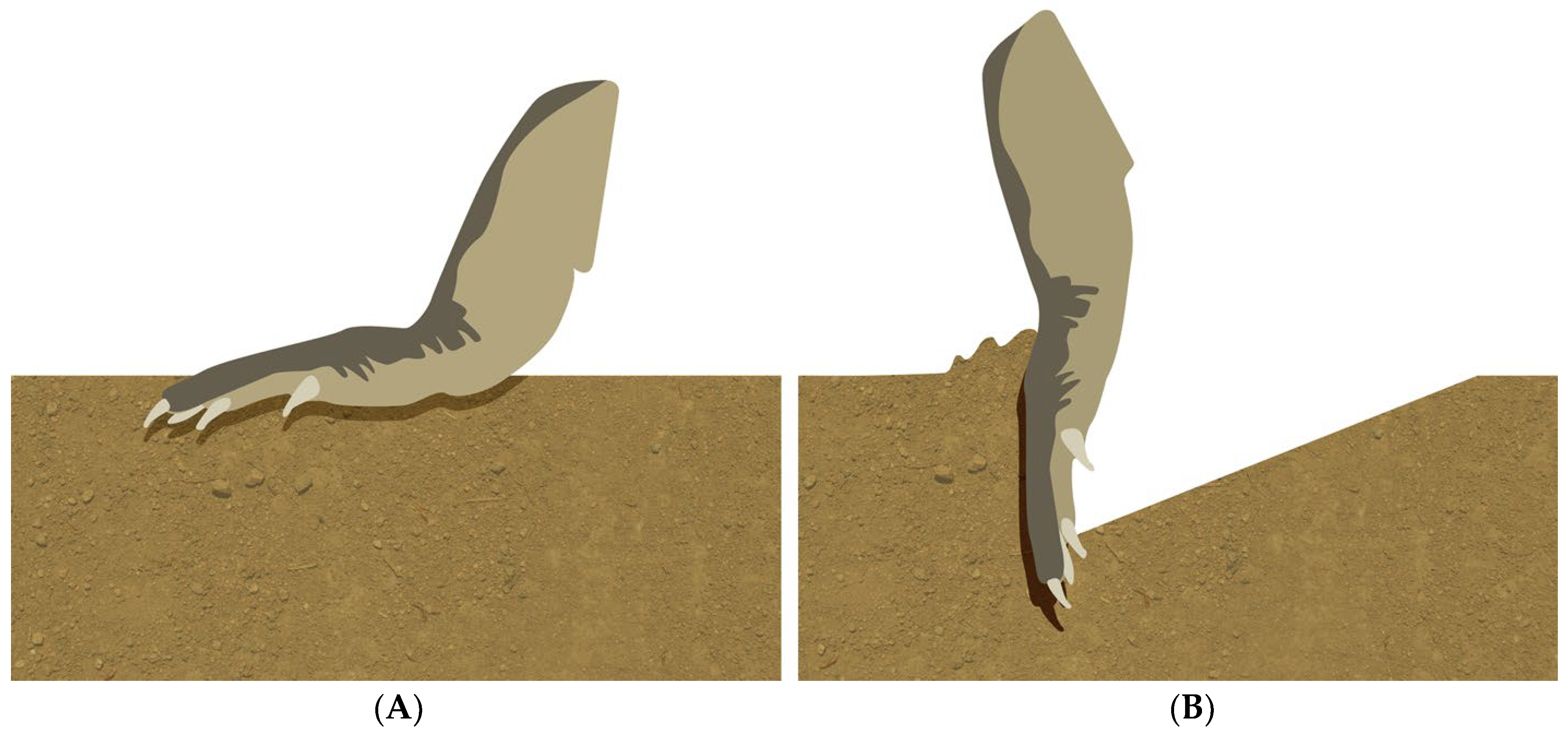 Biology 13 01062 g001