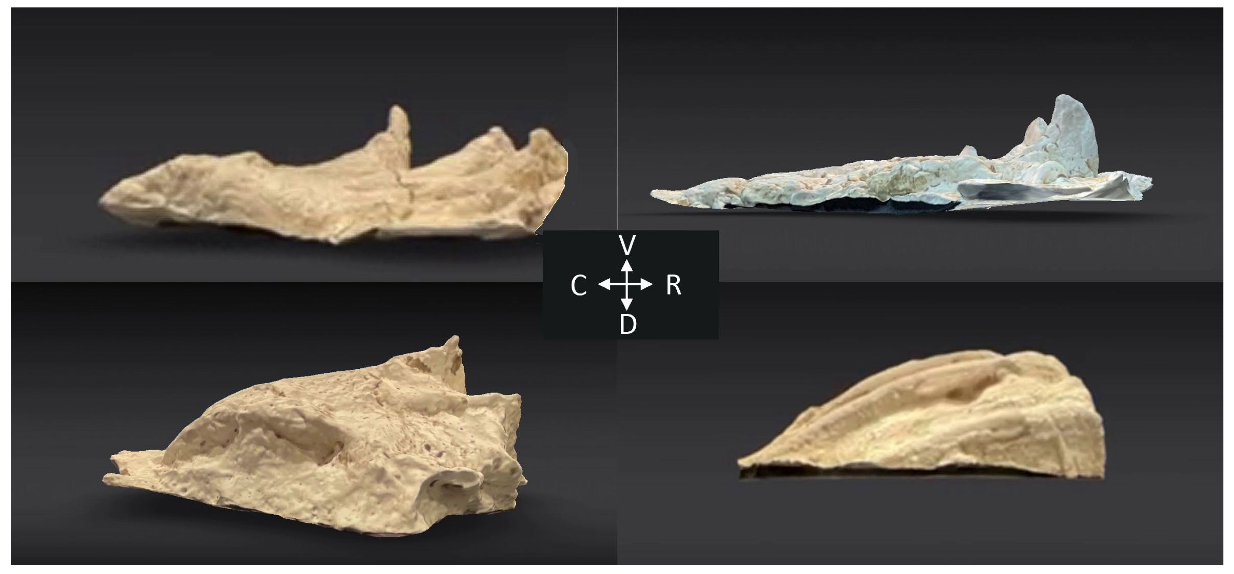 Biology 13 01062 g004
