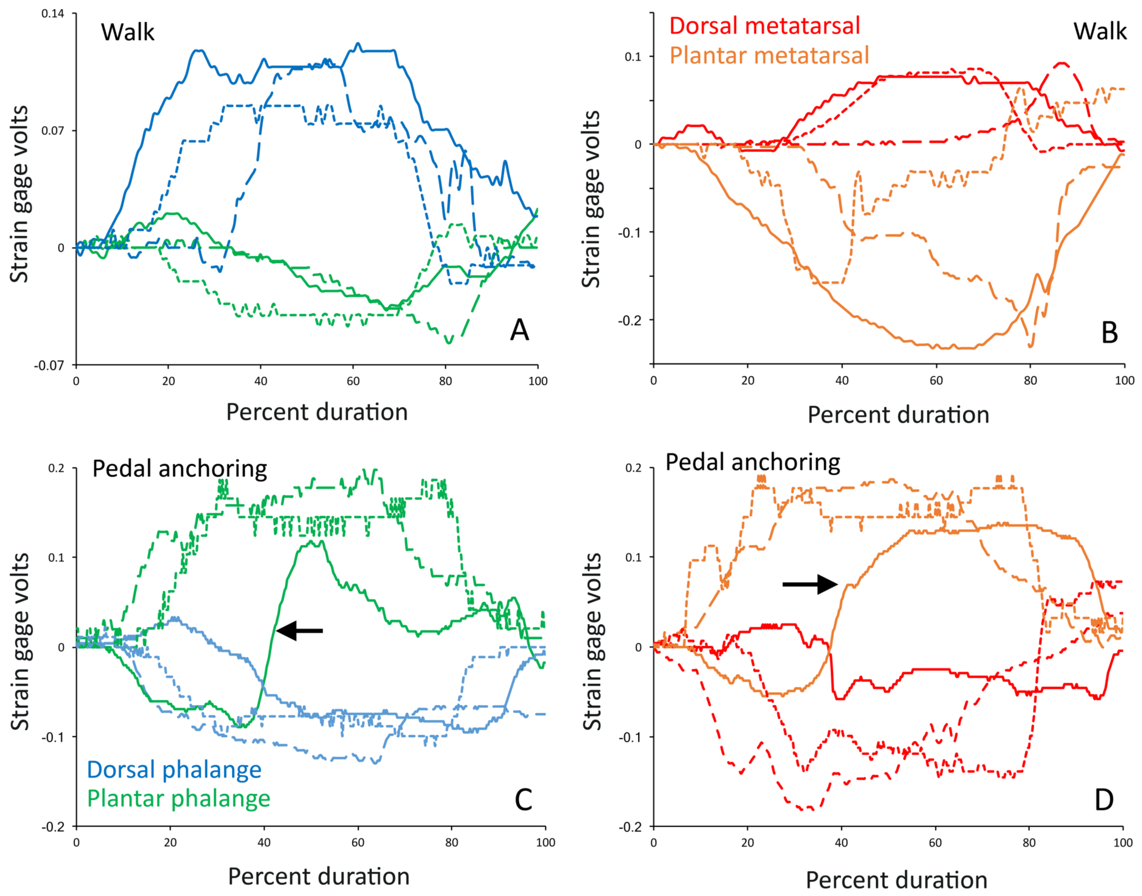 Biology 13 01062 g007