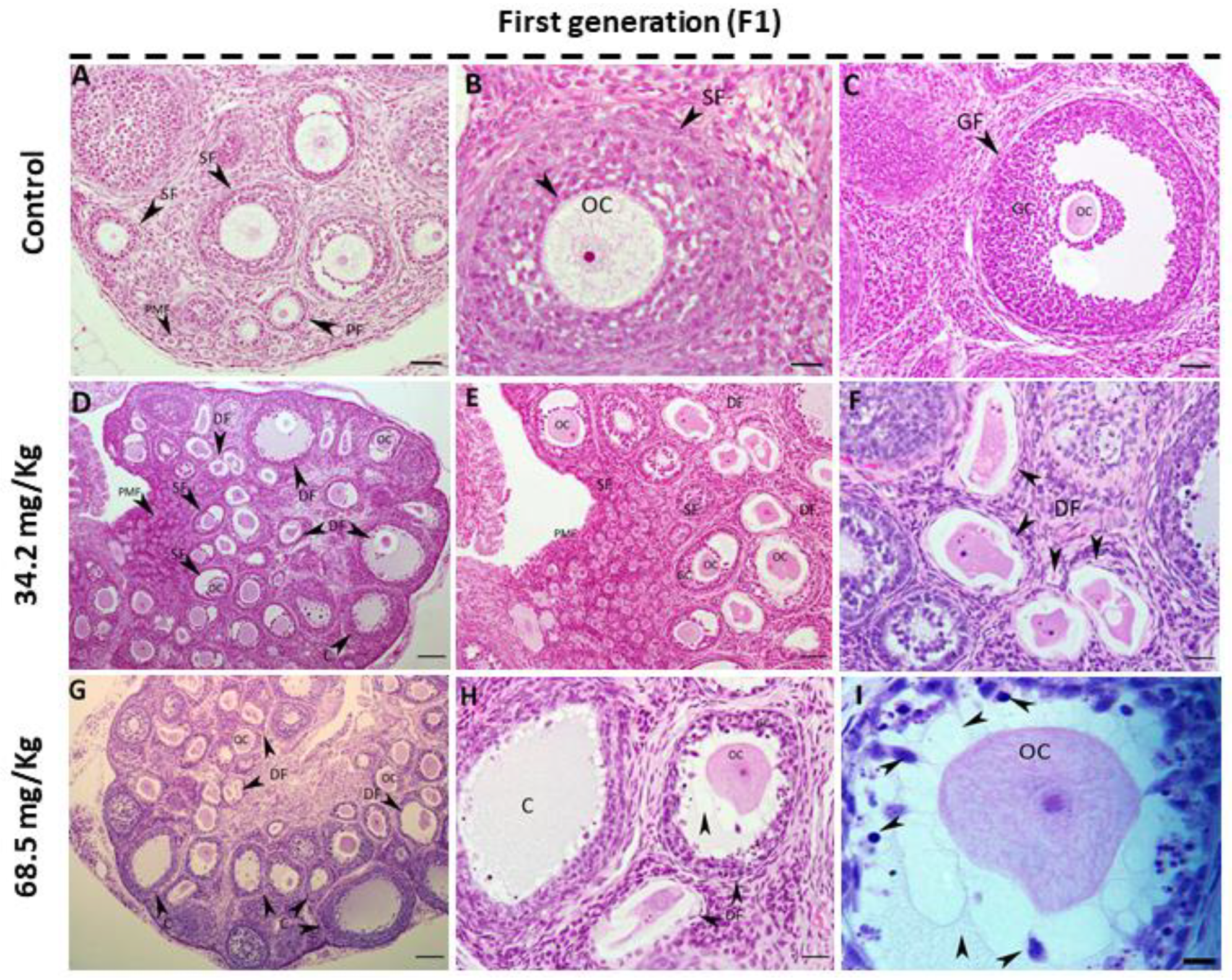 Biology 13 01075 g003
