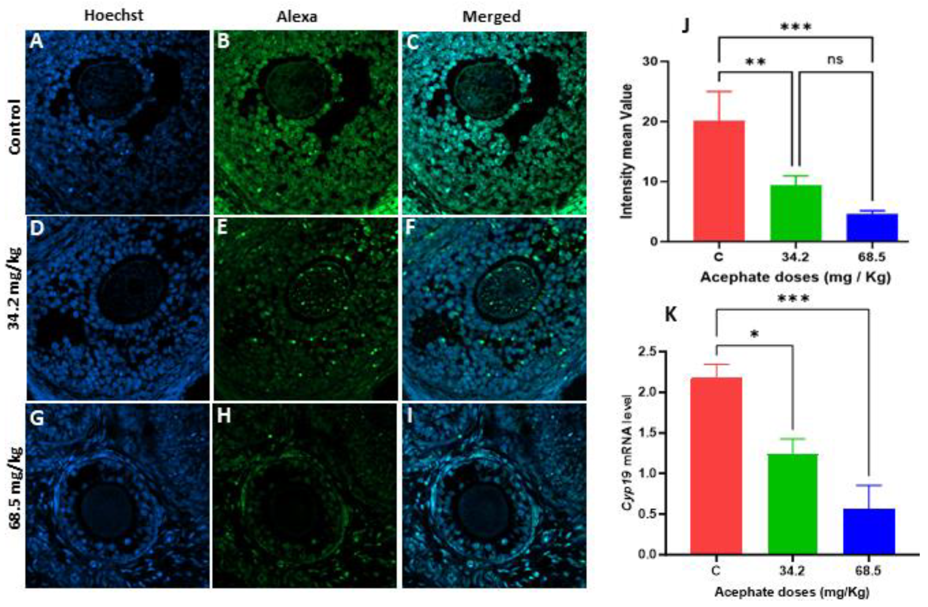Biology 13 01075 g005