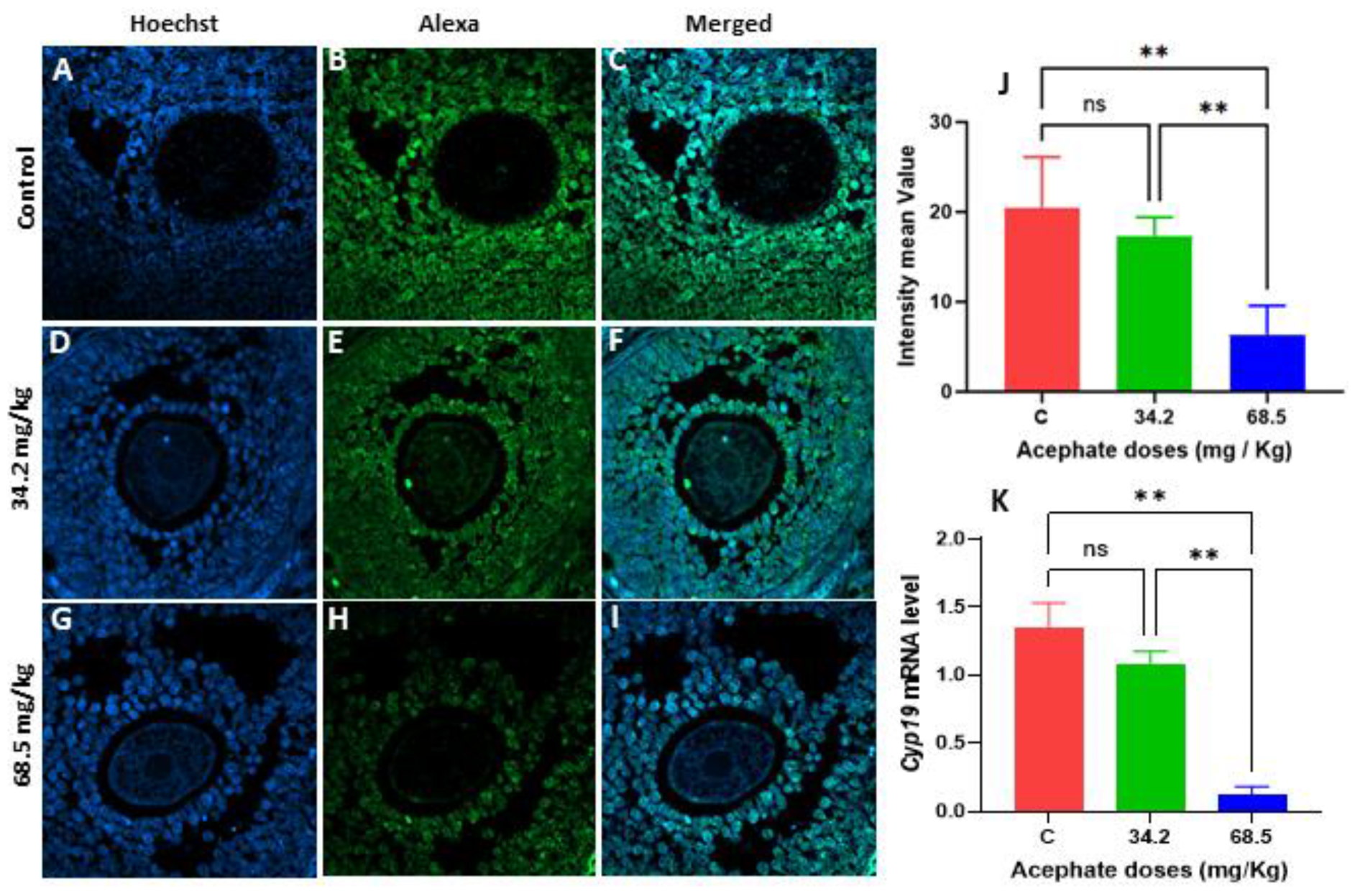 Biology 13 01075 g006