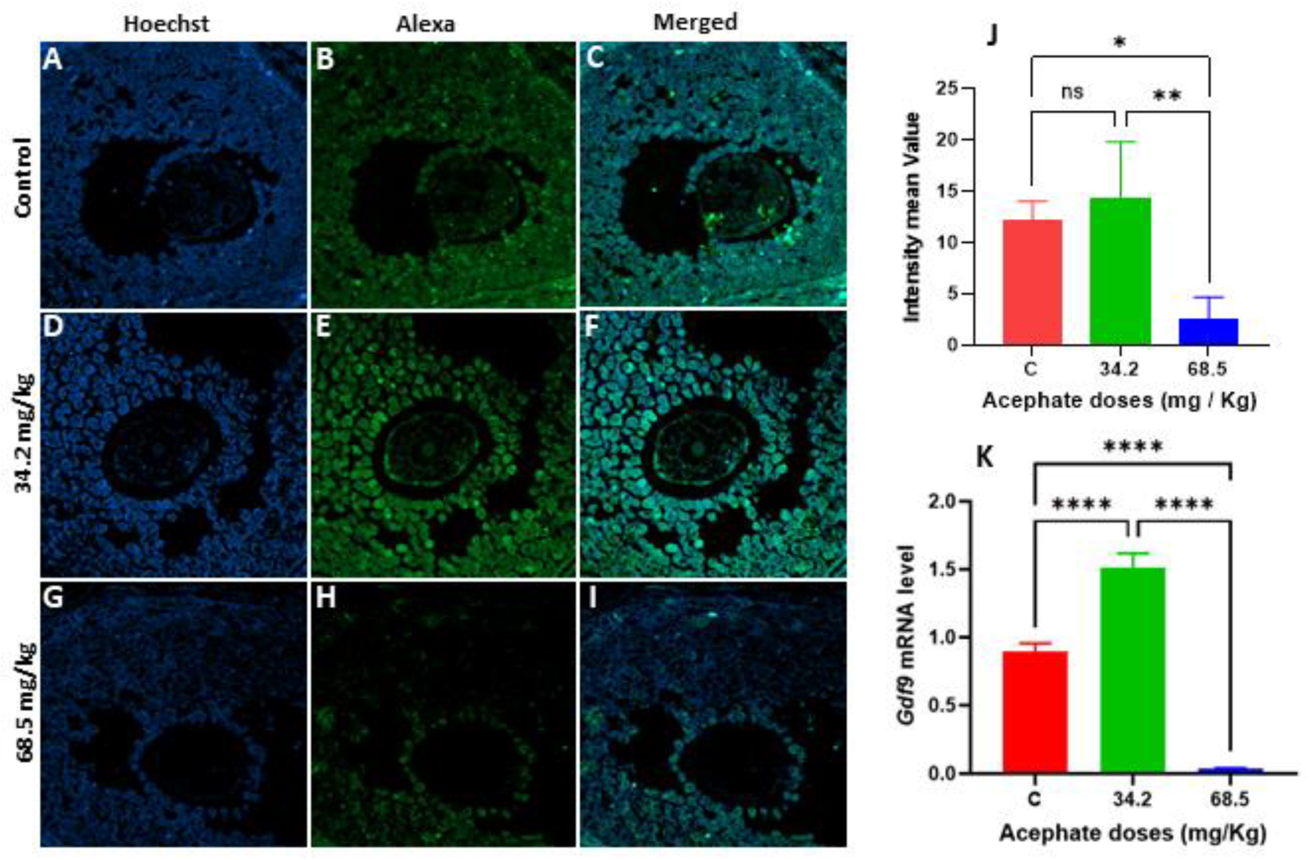 Biology 13 01075 g008
