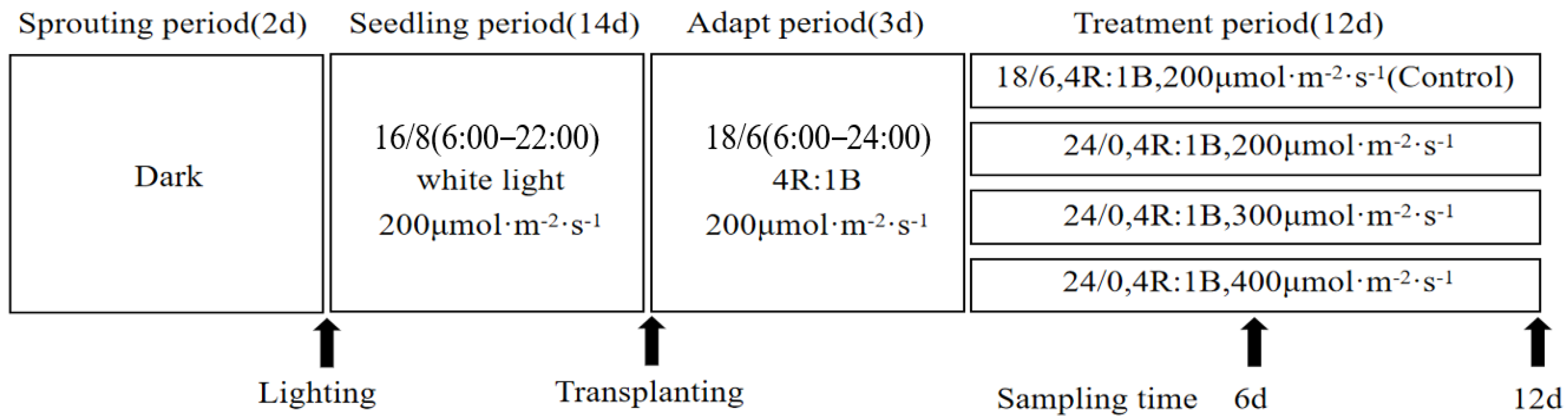 Biology 13 01077 g001
