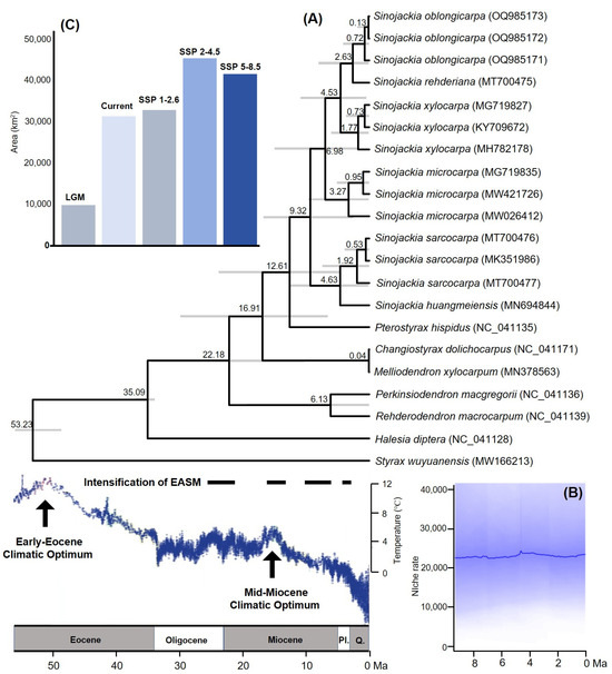 Biology 13 01085 g002