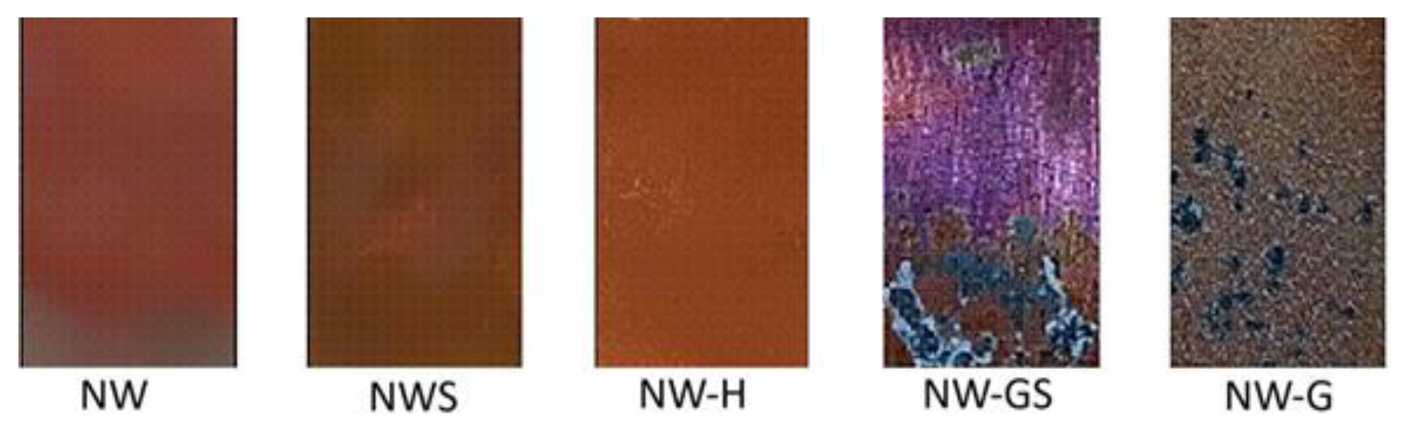 Biology 13 01086 g004