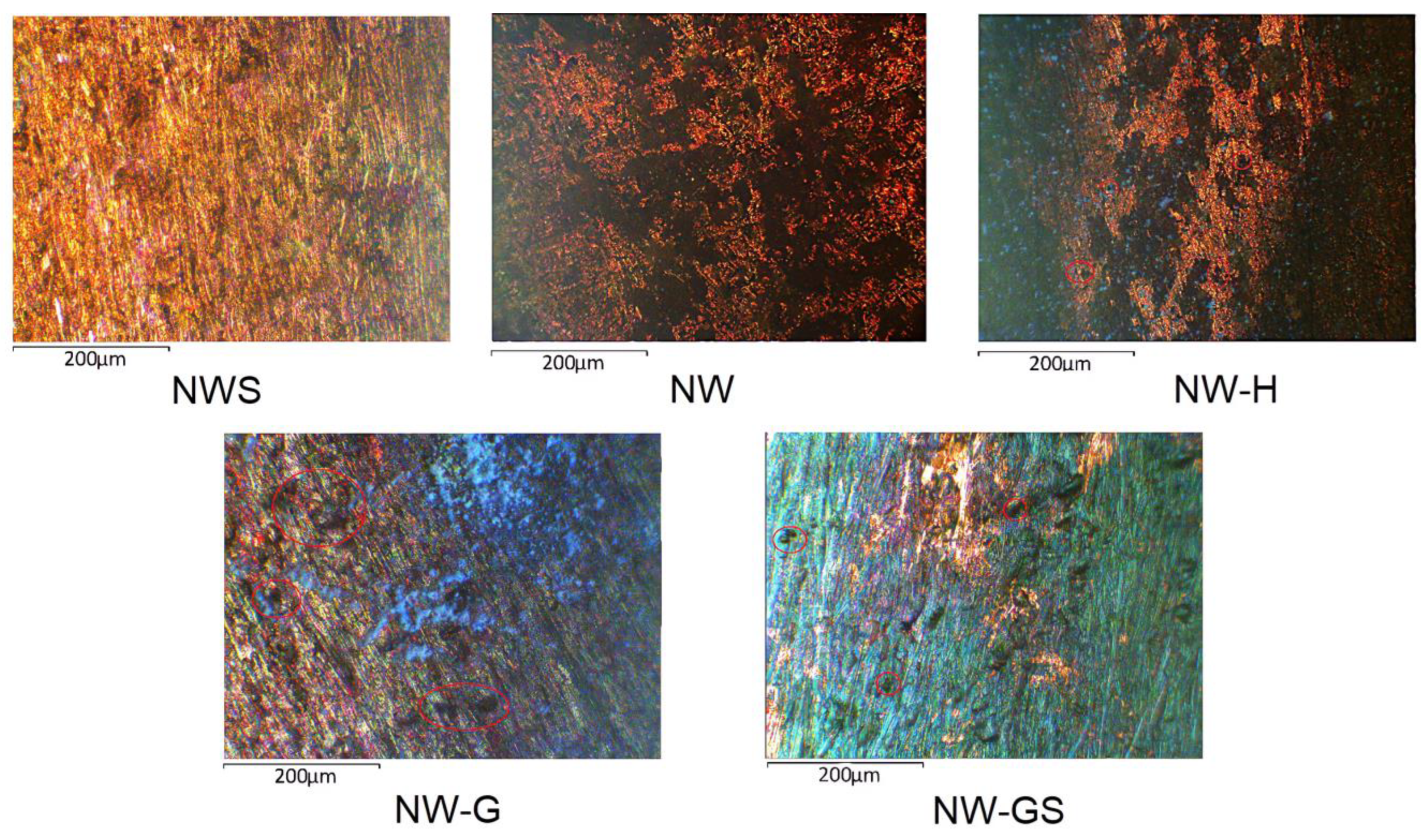 Biology 13 01086 g005