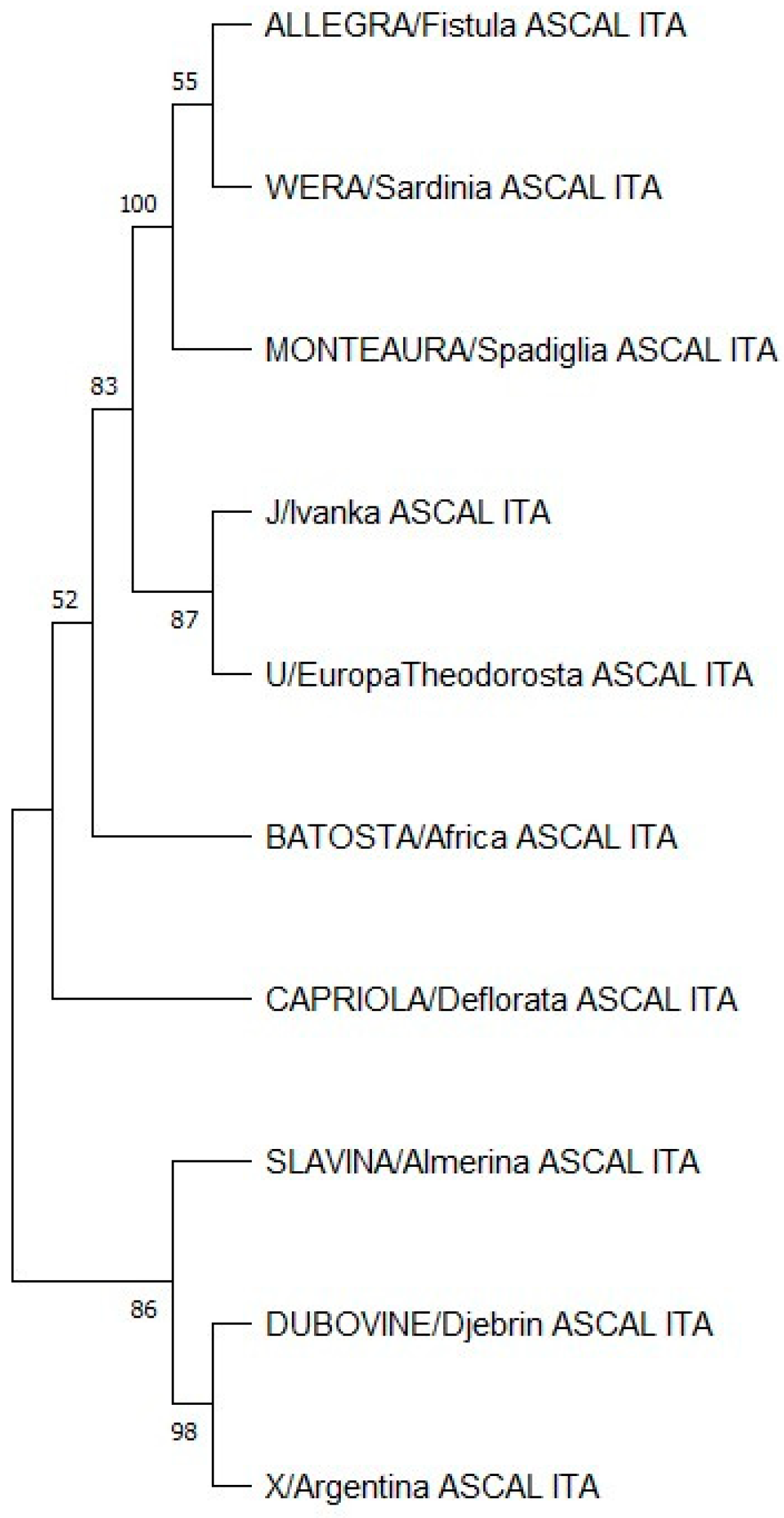 Biology 13 01087 g002