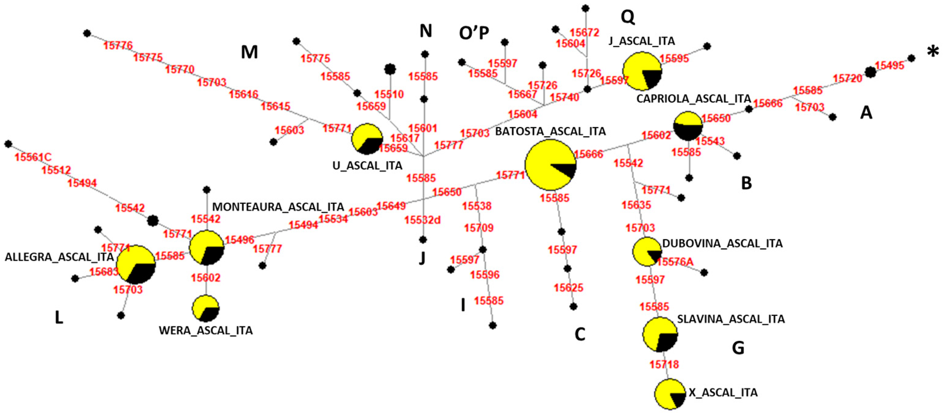Biology 13 01087 g004