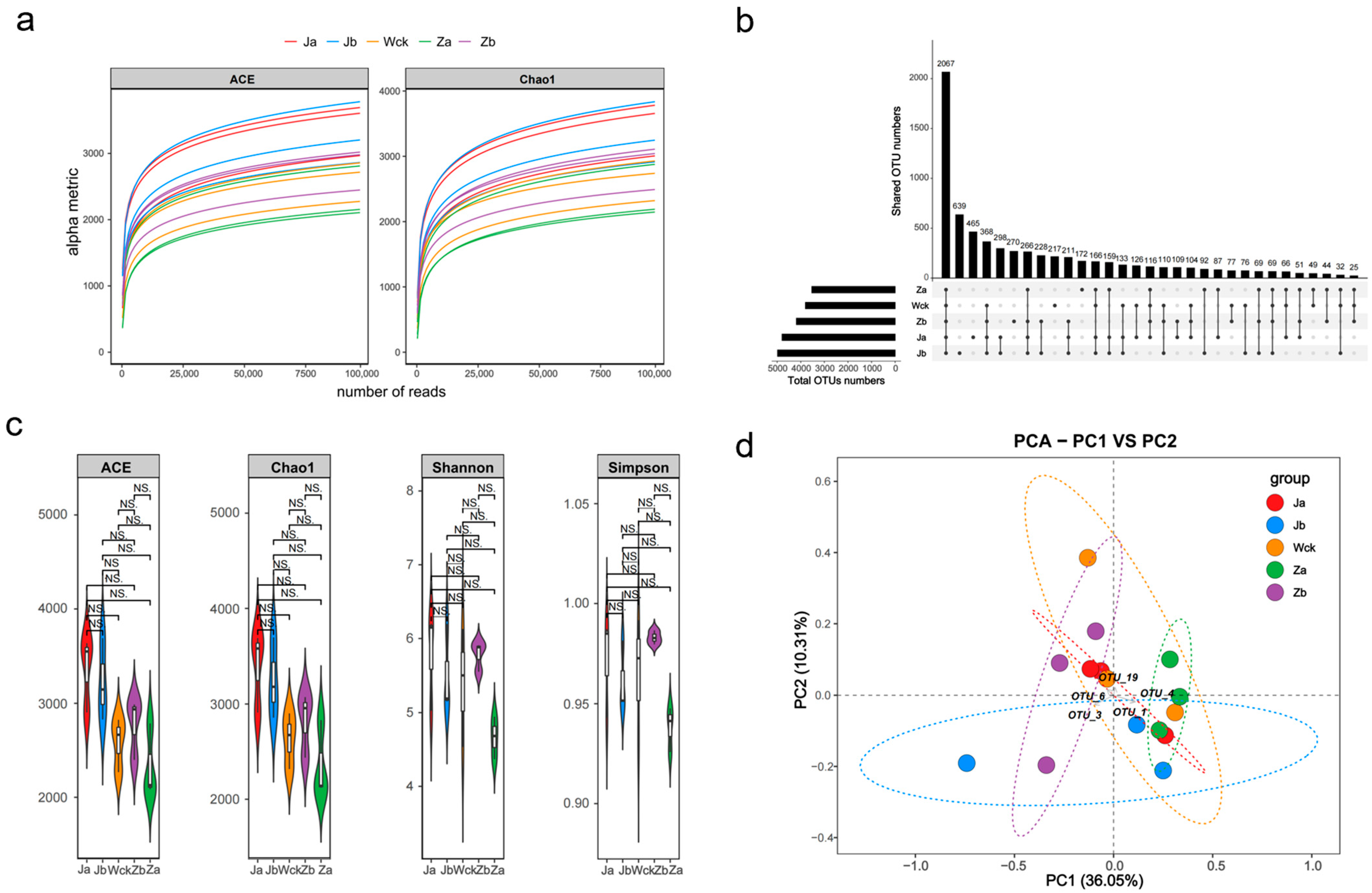 Biology 13 01090 g001