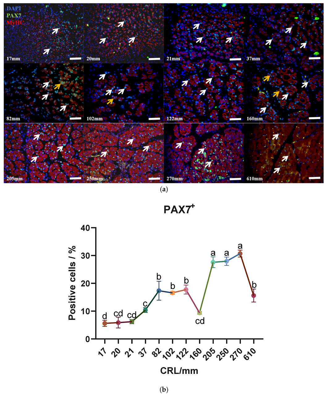 Biology 13 01091 g003 Biology 13 01091 g003