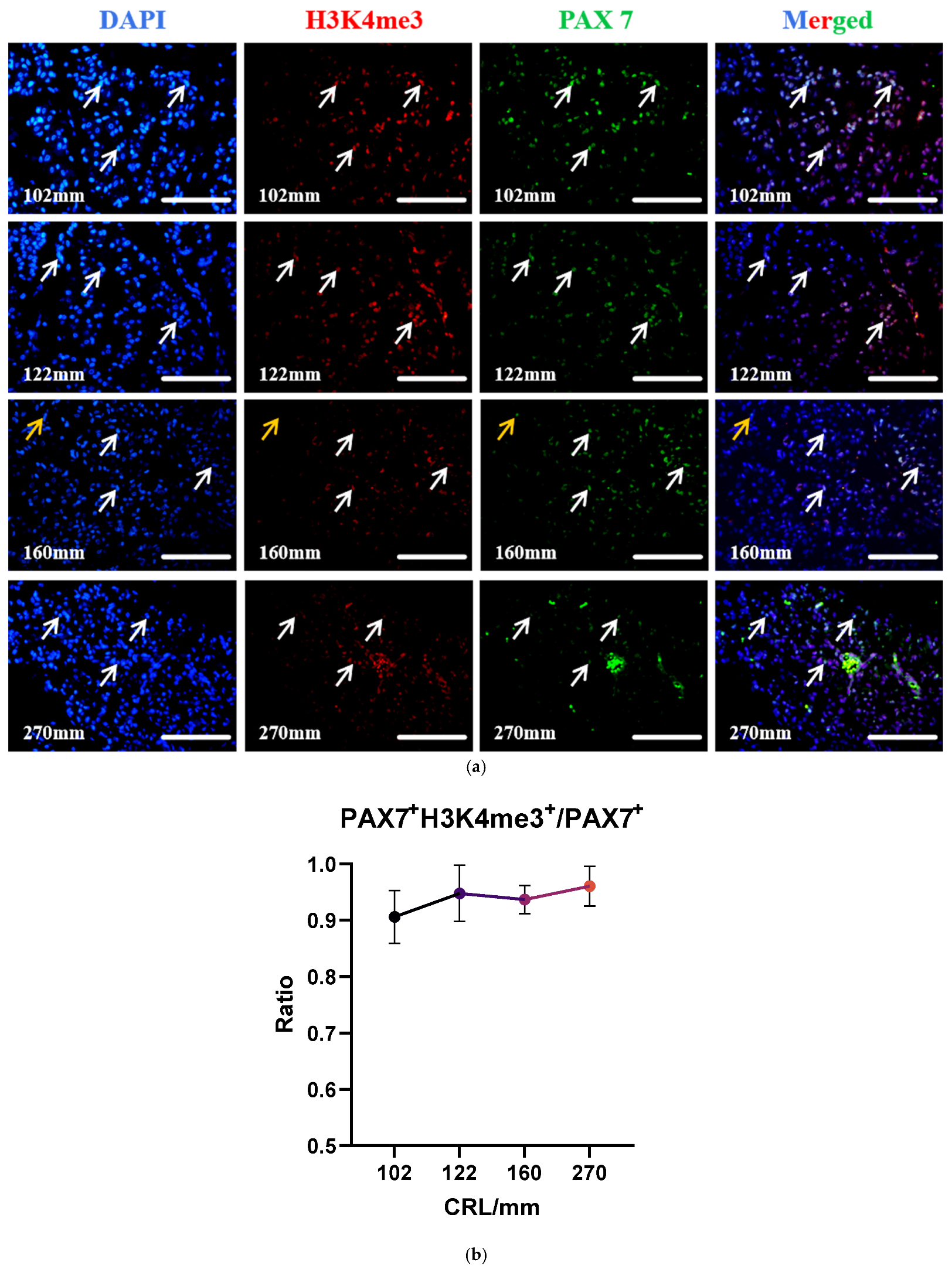 Biology 13 01091 g006 Biology 13 01091 g006