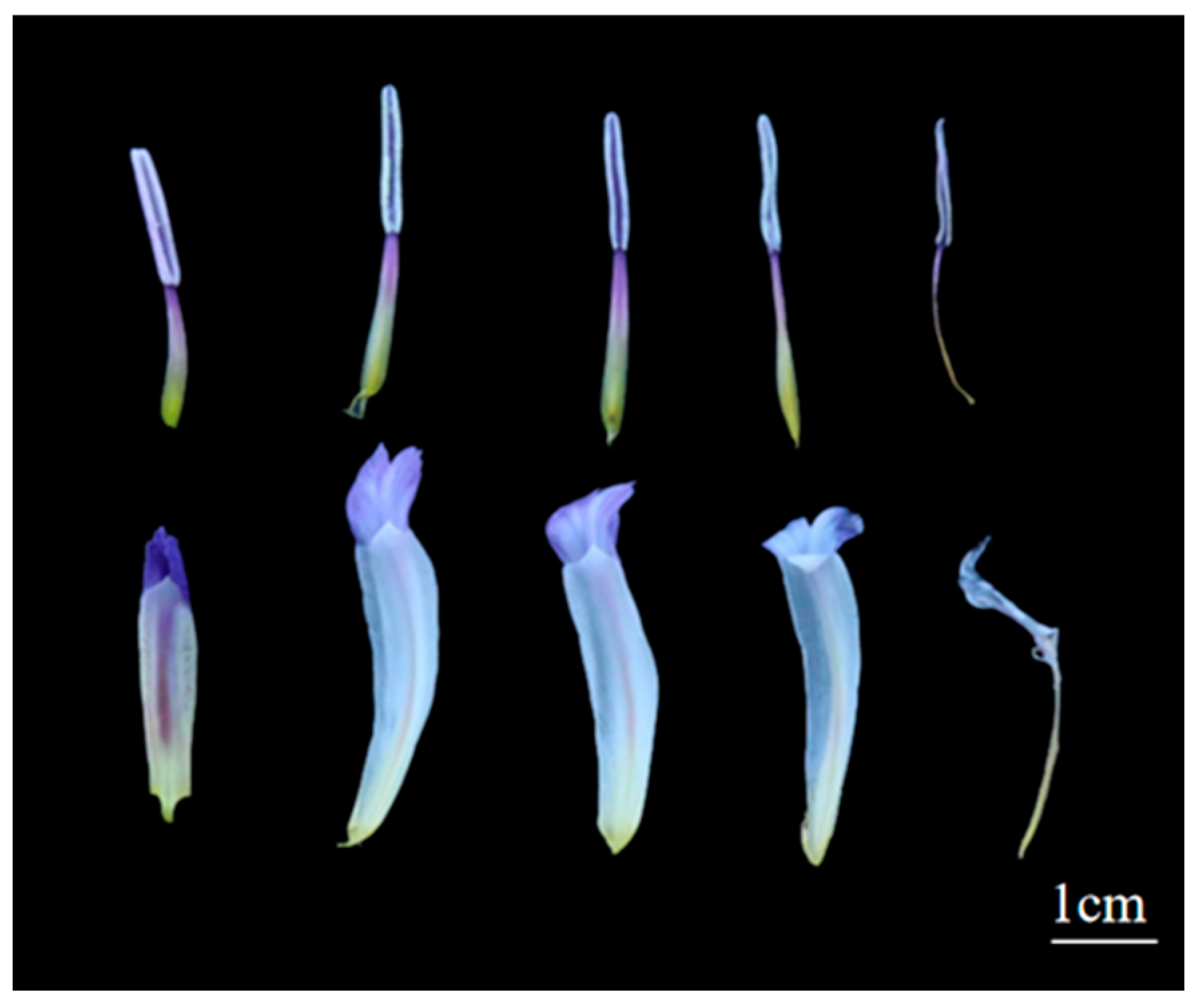 Biology 14 00002 g002