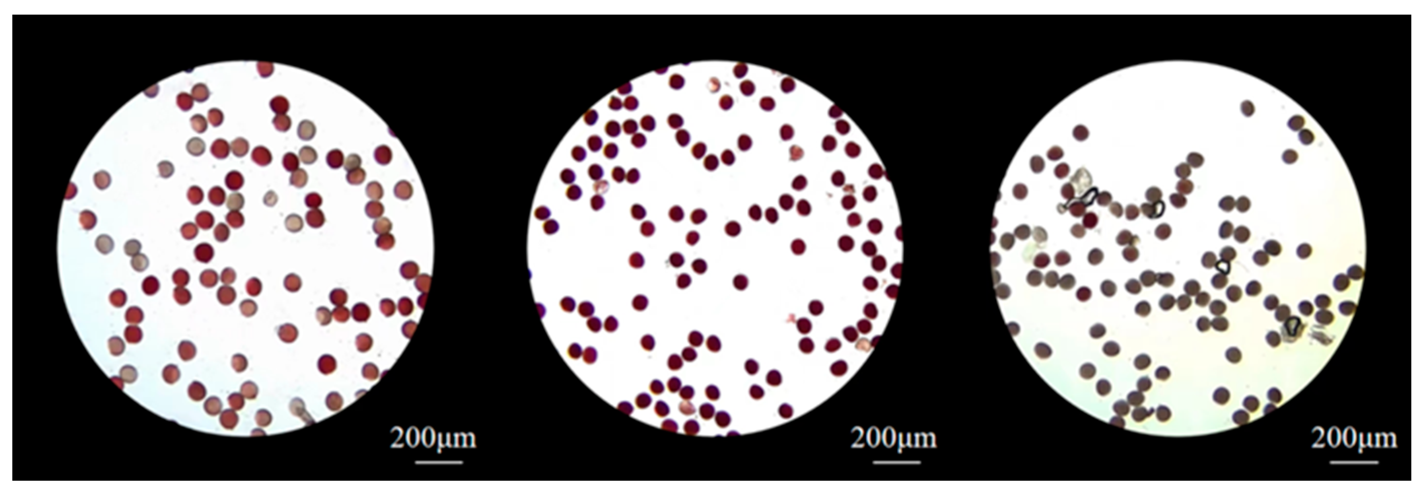Biology 14 00002 g005