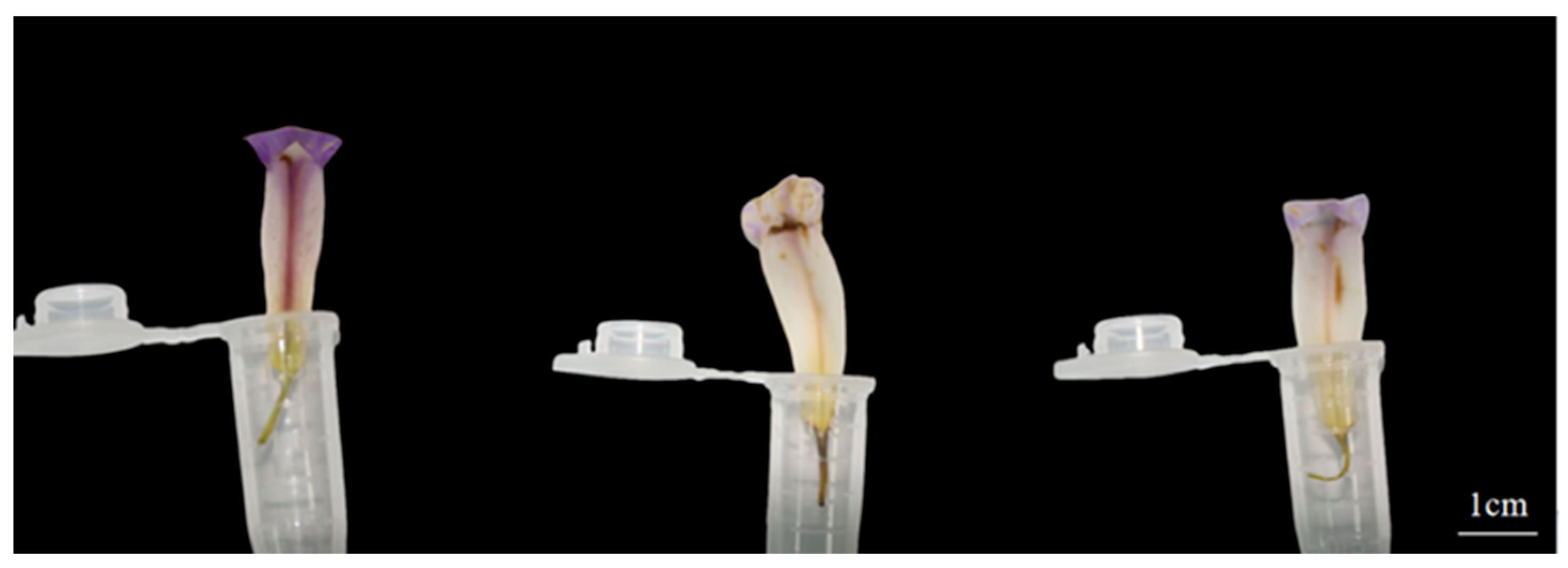 Biology 14 00002 g006