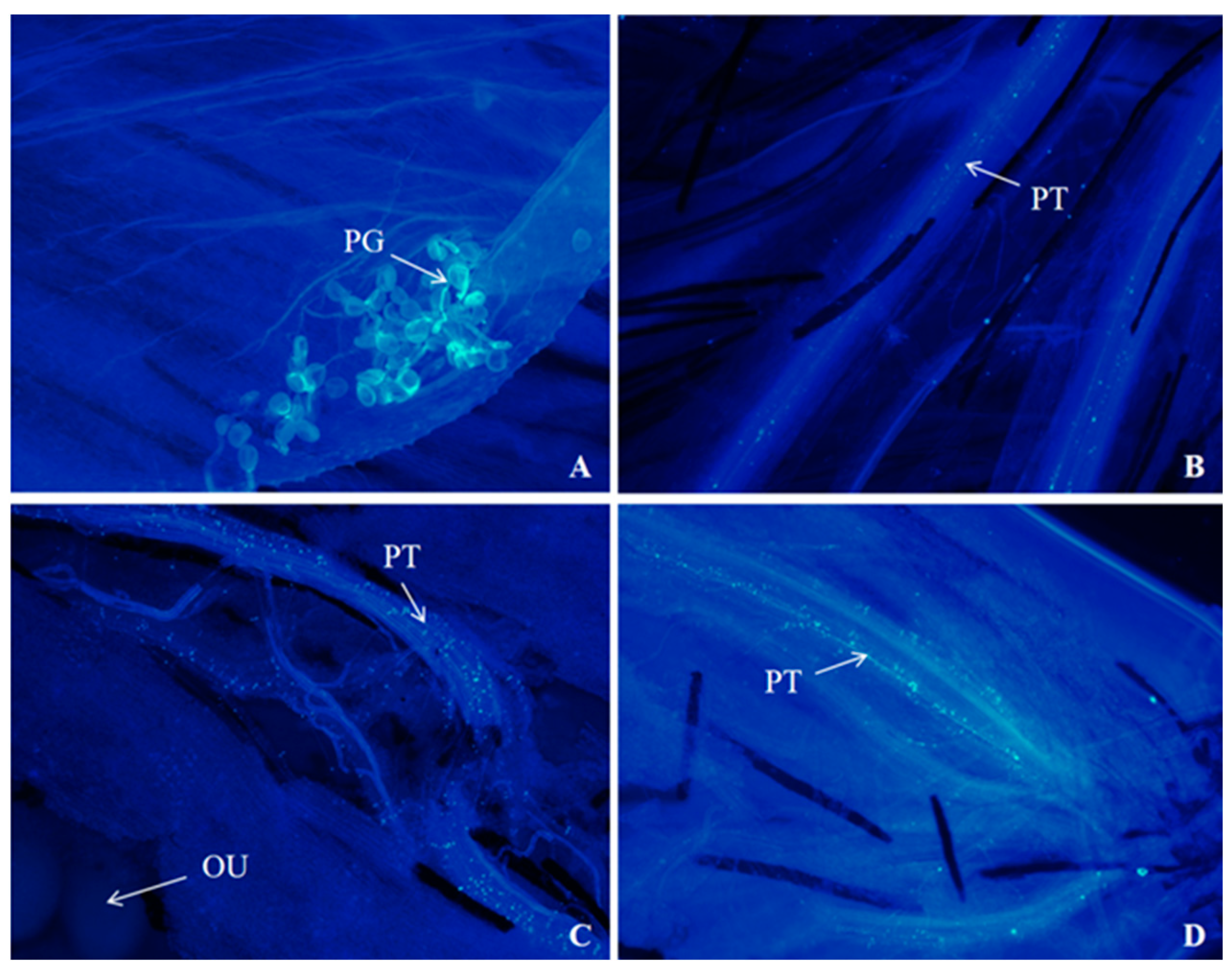 Biology 14 00002 g008