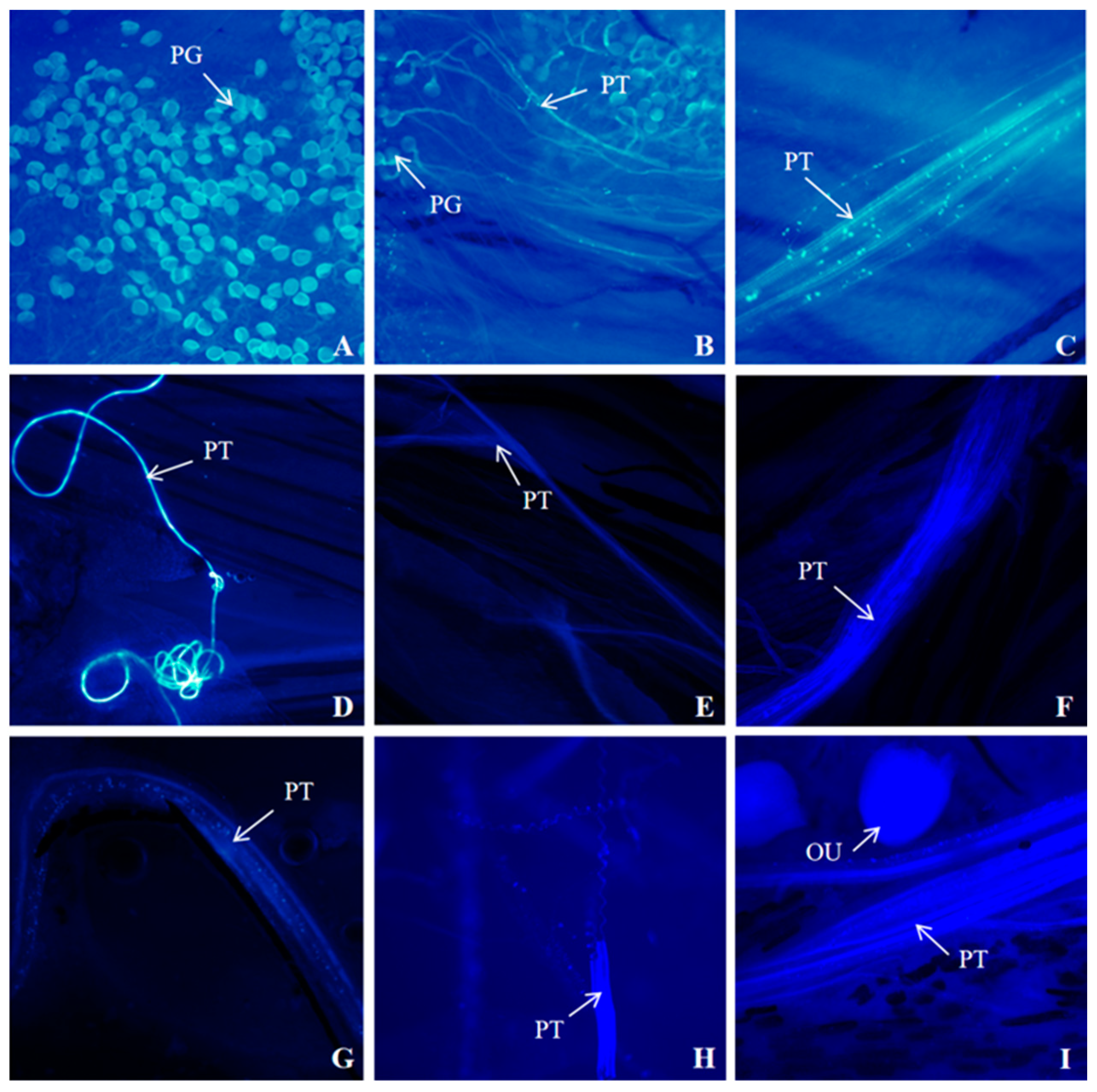 Biology 14 00002 g009