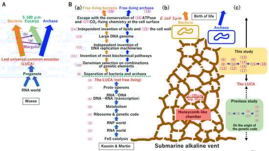 Biology 14 00003 g001