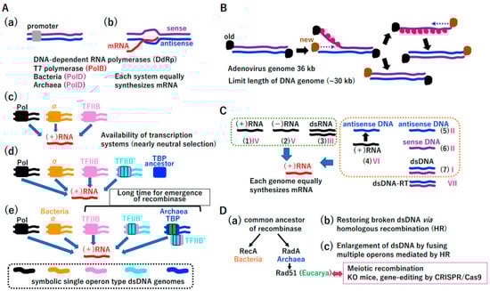 Biology 14 00003 g003
