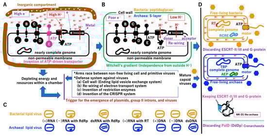 Biology 14 00003 g012